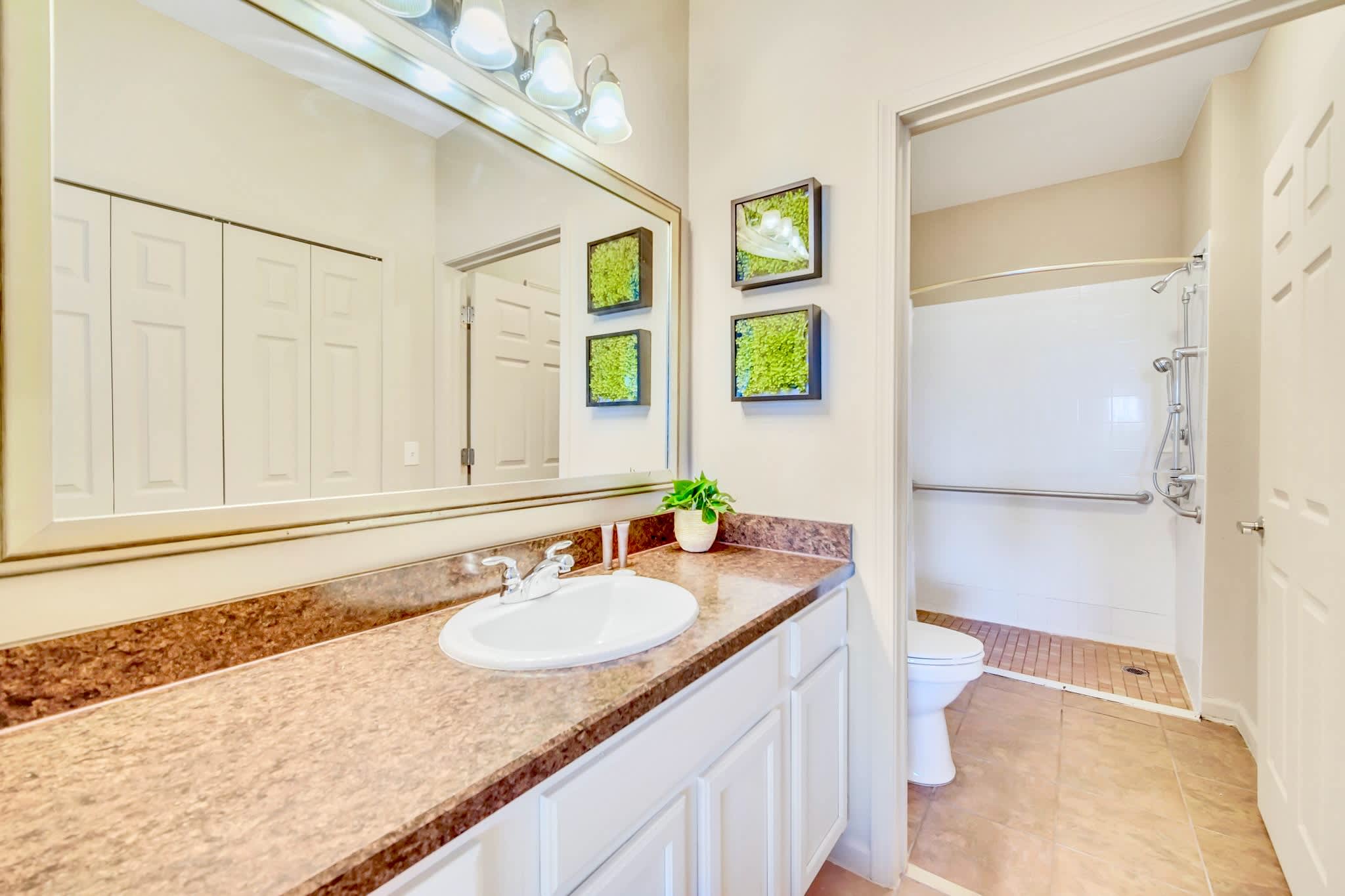 Full bathroom with spacious vanity and standing shower 