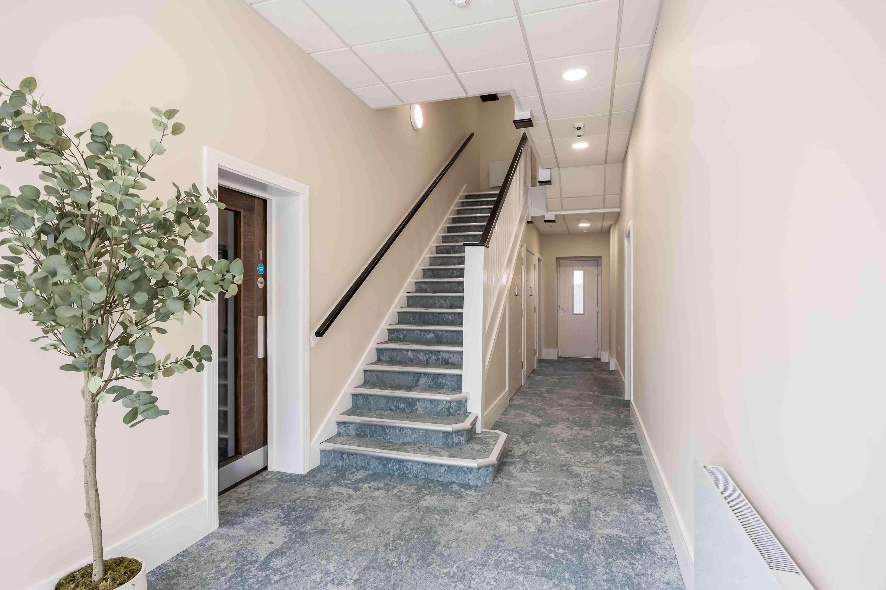 Newly Renovated Luxurious Retreat with Parking