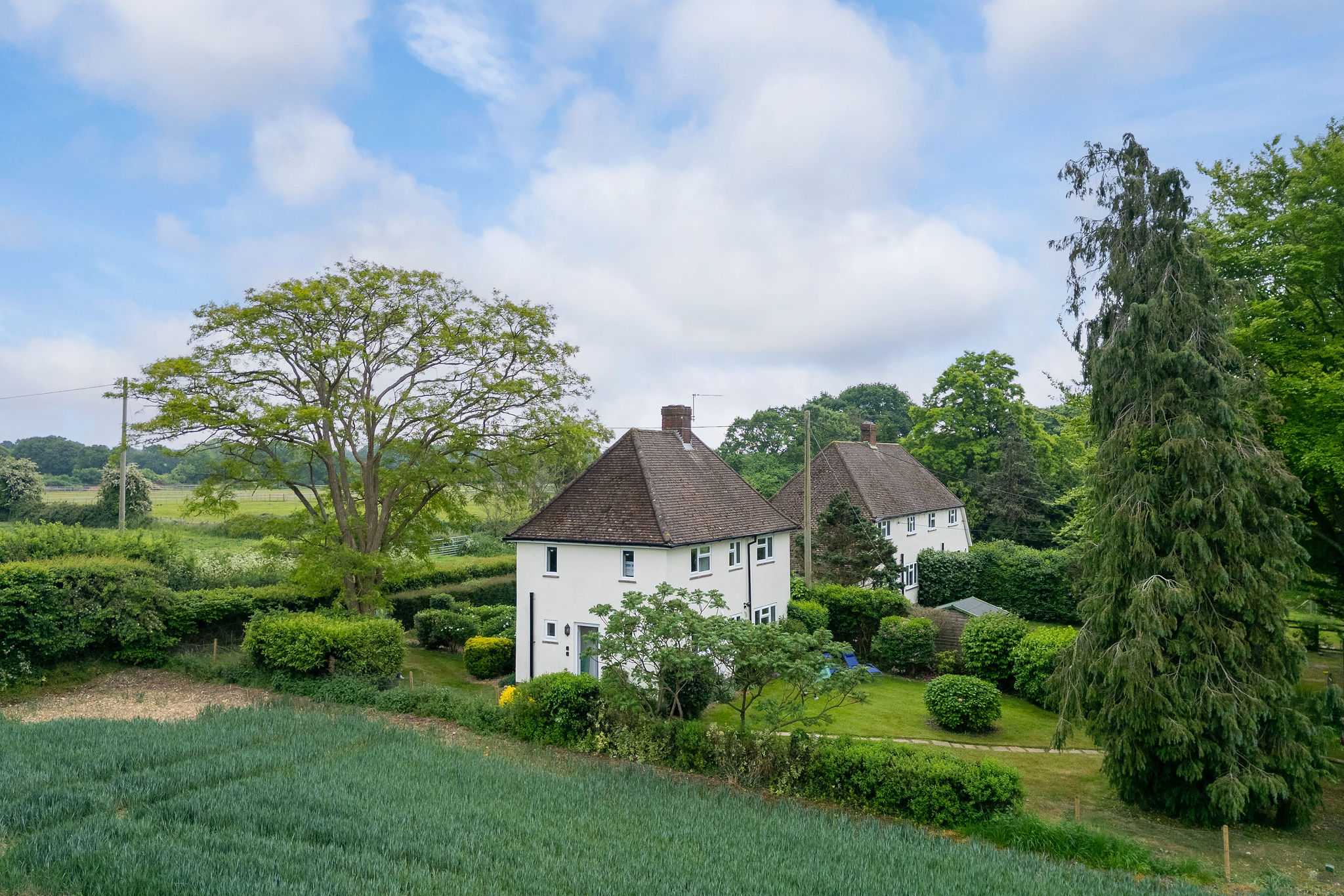 Surrounded by fields and bird song, this tranquil escape is ideal for walkers, families, and anyone craving a slice of rural Sussex life.