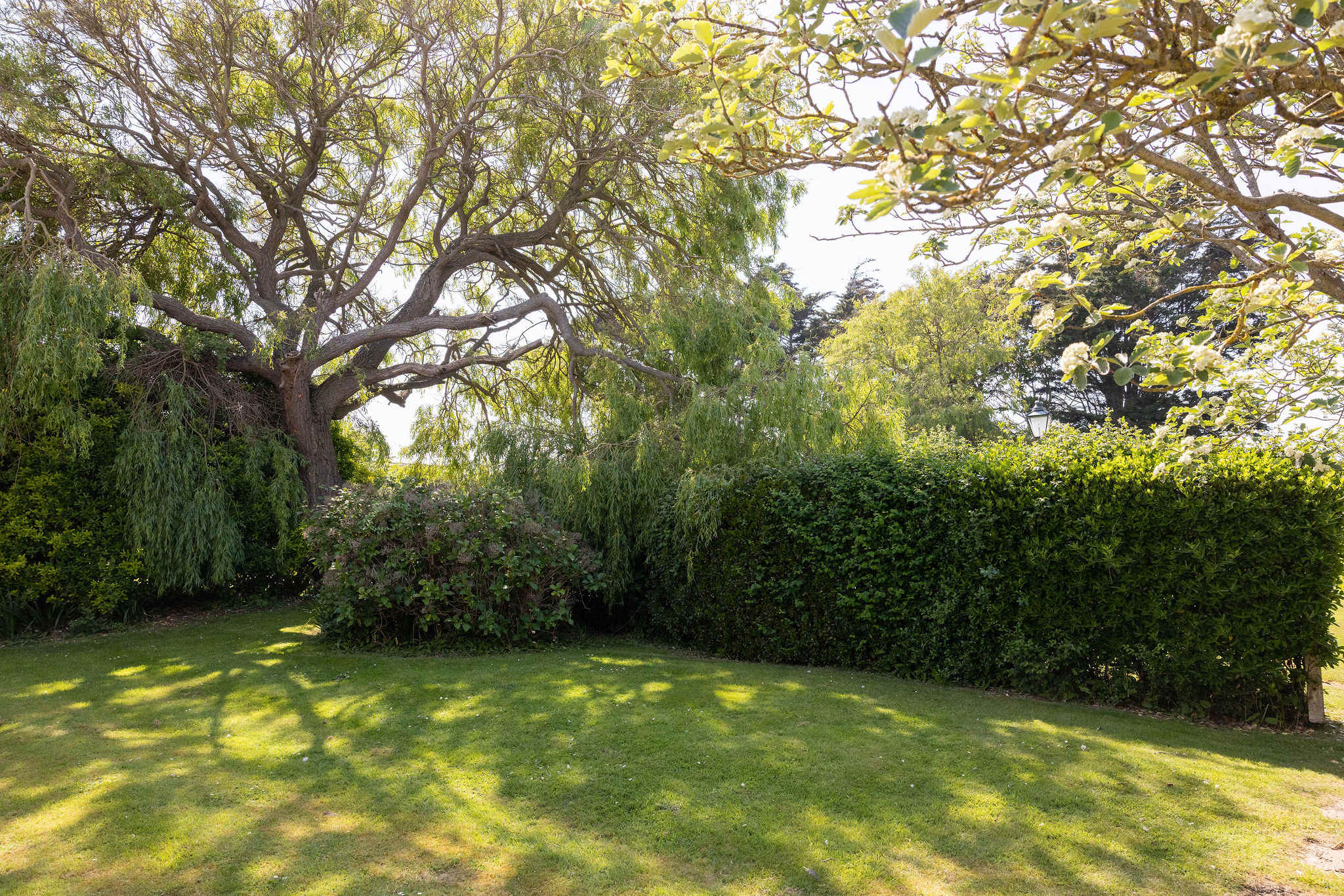 First part of the lovely rear garden