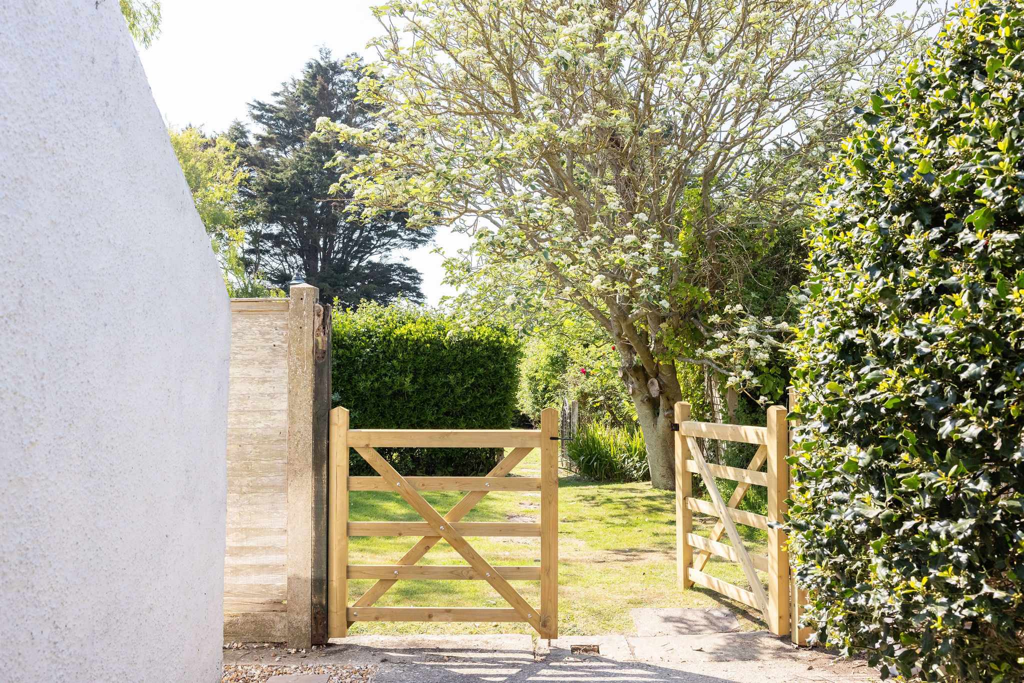 Perfect sun spot to the dog friendly garden