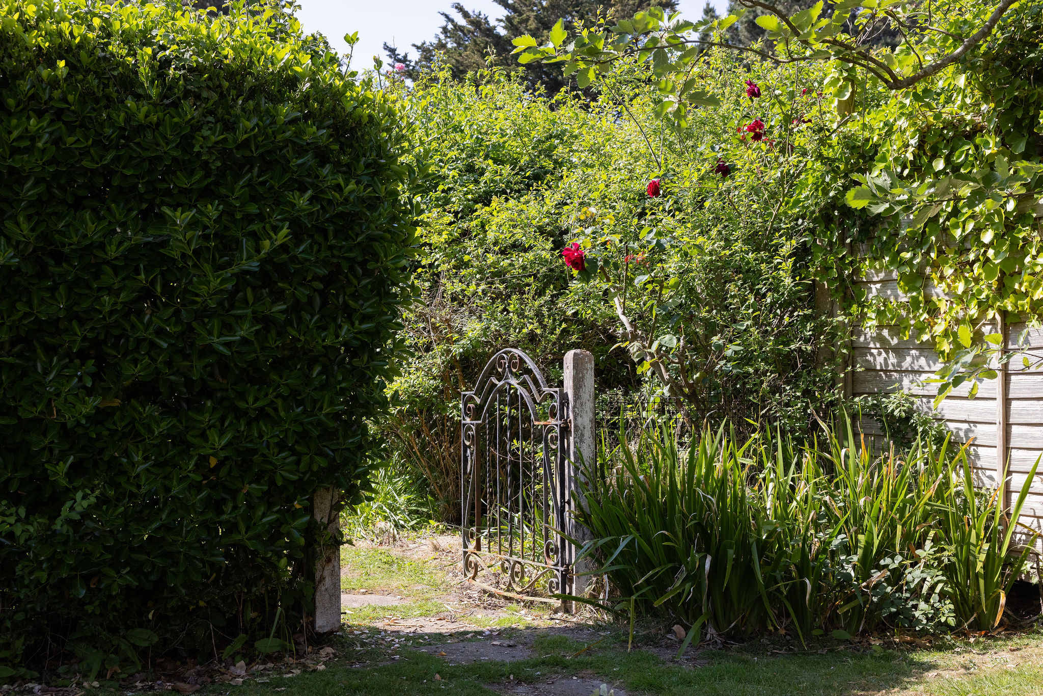 Garden gate to the second larger rear garden
