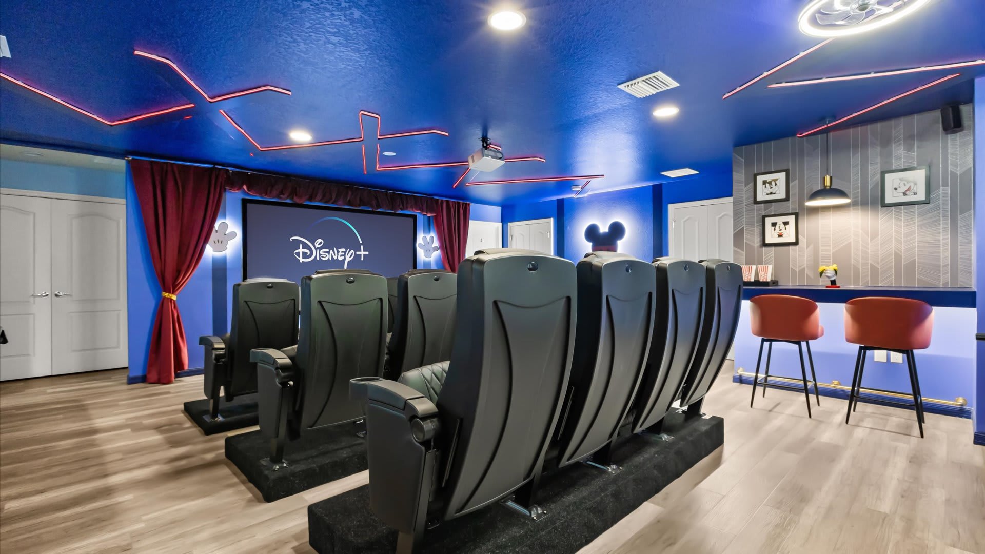 Disney Themed Large Family Movie Theater