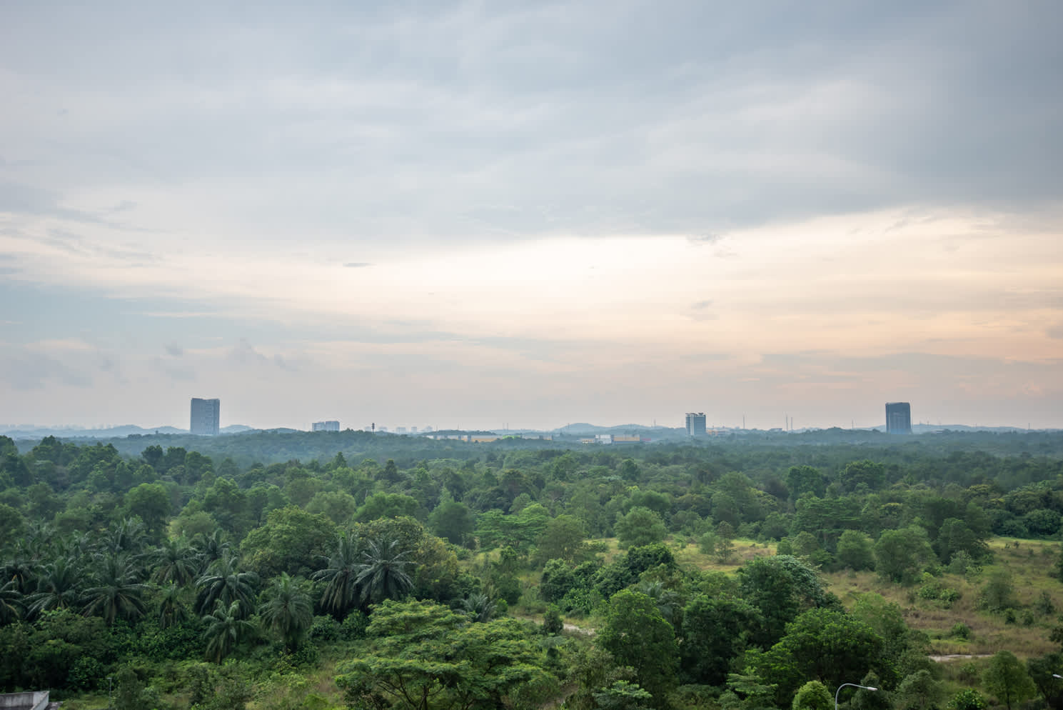 View 9