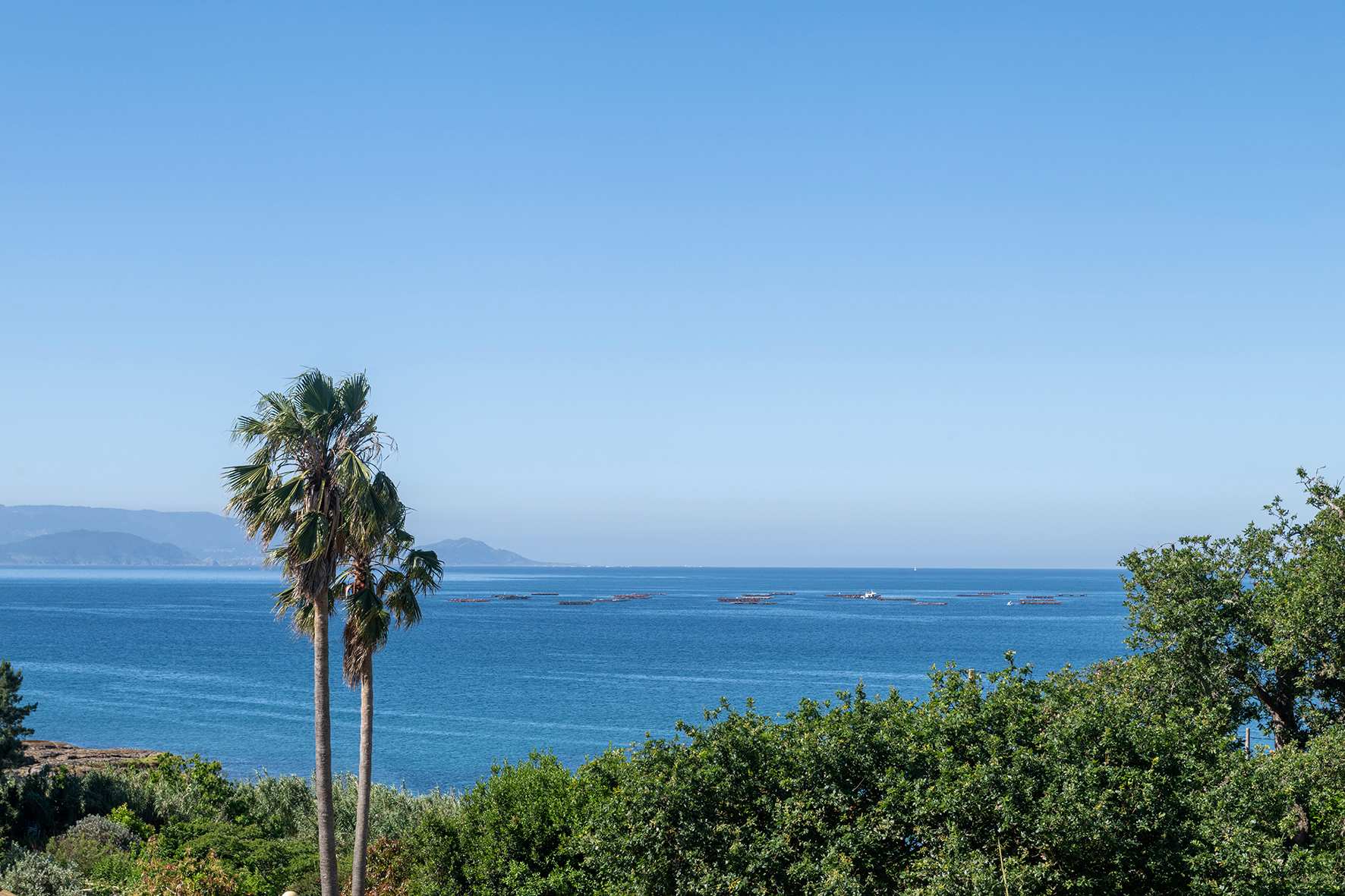 Galicia Holliday