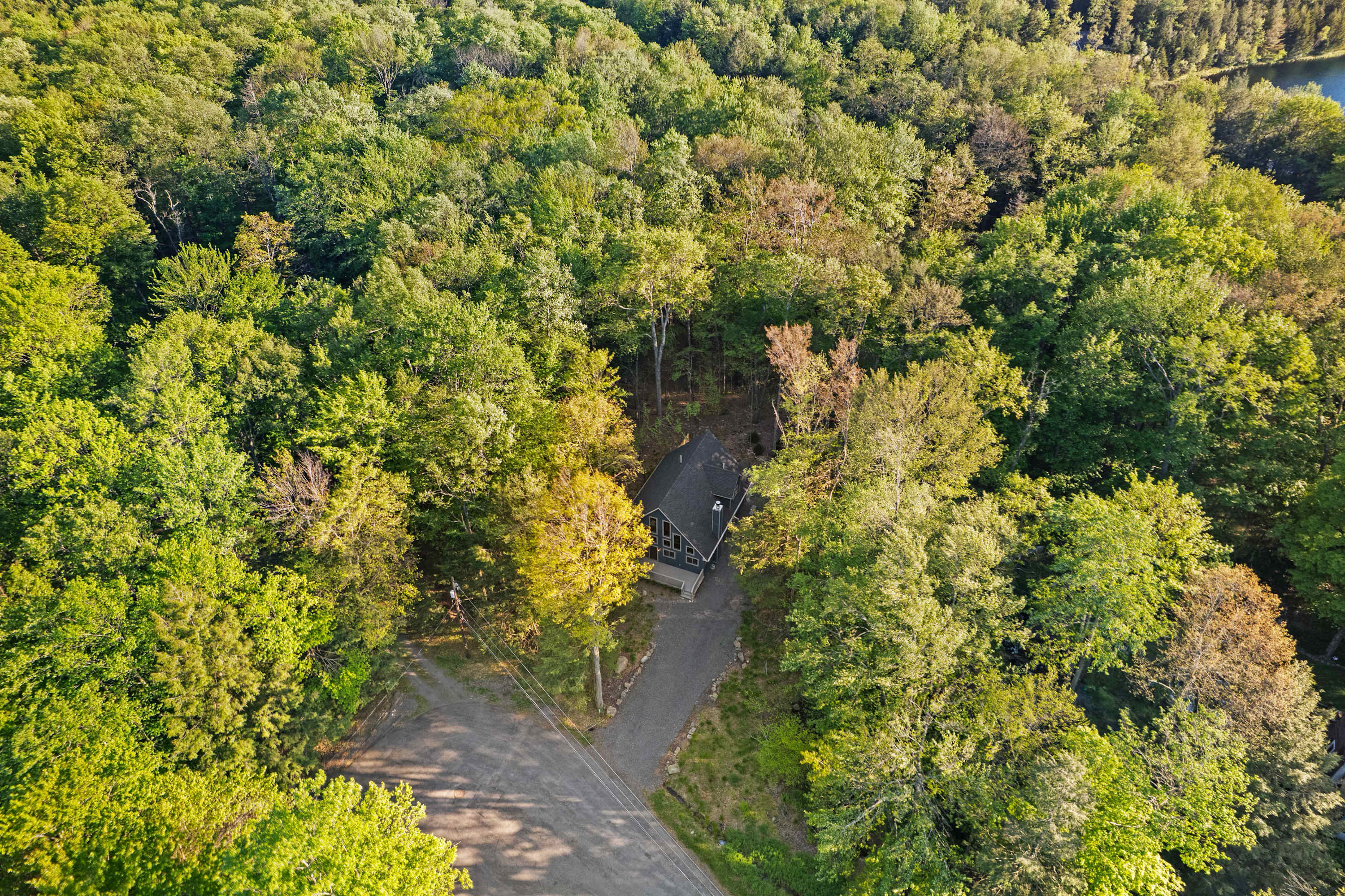 The property is surrounded by lush forest, providing a private, nature escape.
