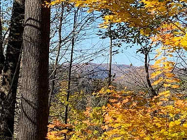 Mt Peg Hiking, Enclosed Porch  | Trailside Cottage