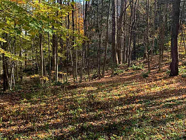Mt Peg Hiking, Enclosed Porch  | Trailside Cottage