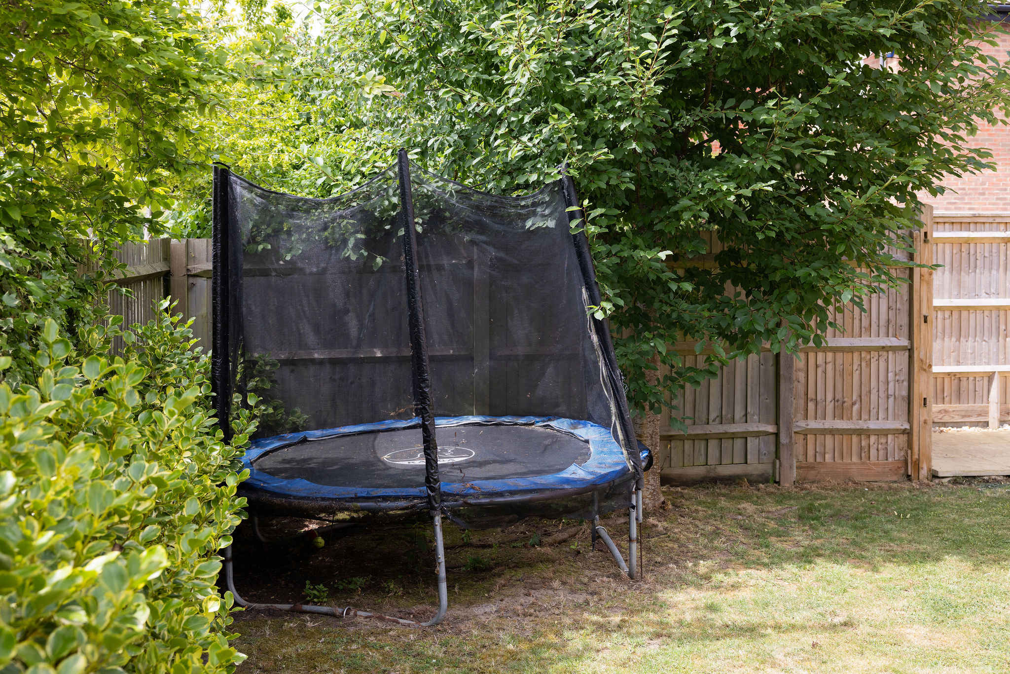 Garden trampoline.