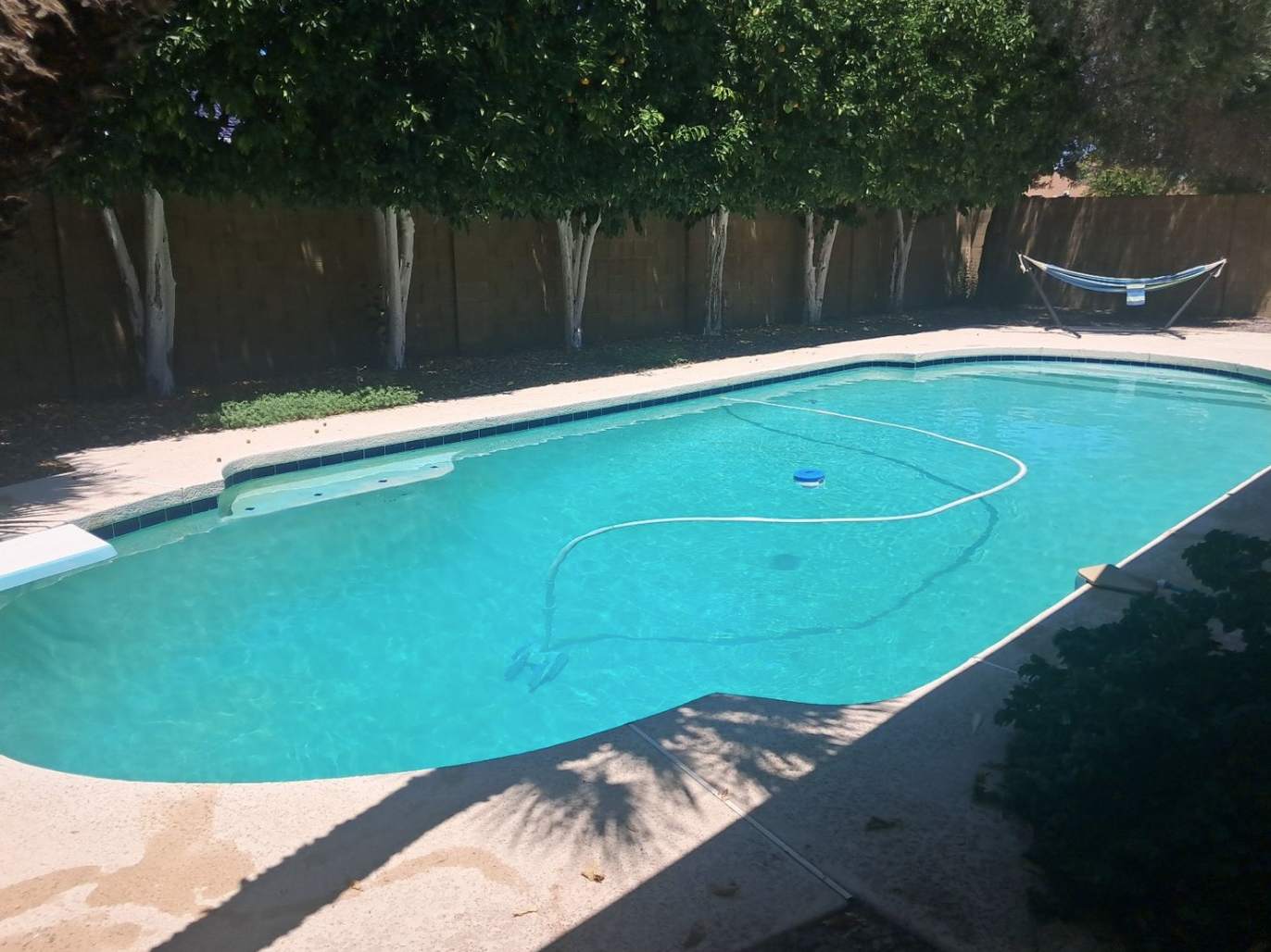 Quiet house, pool, patio, BBQ, citrus — Phoenix, AZ — vacation rental