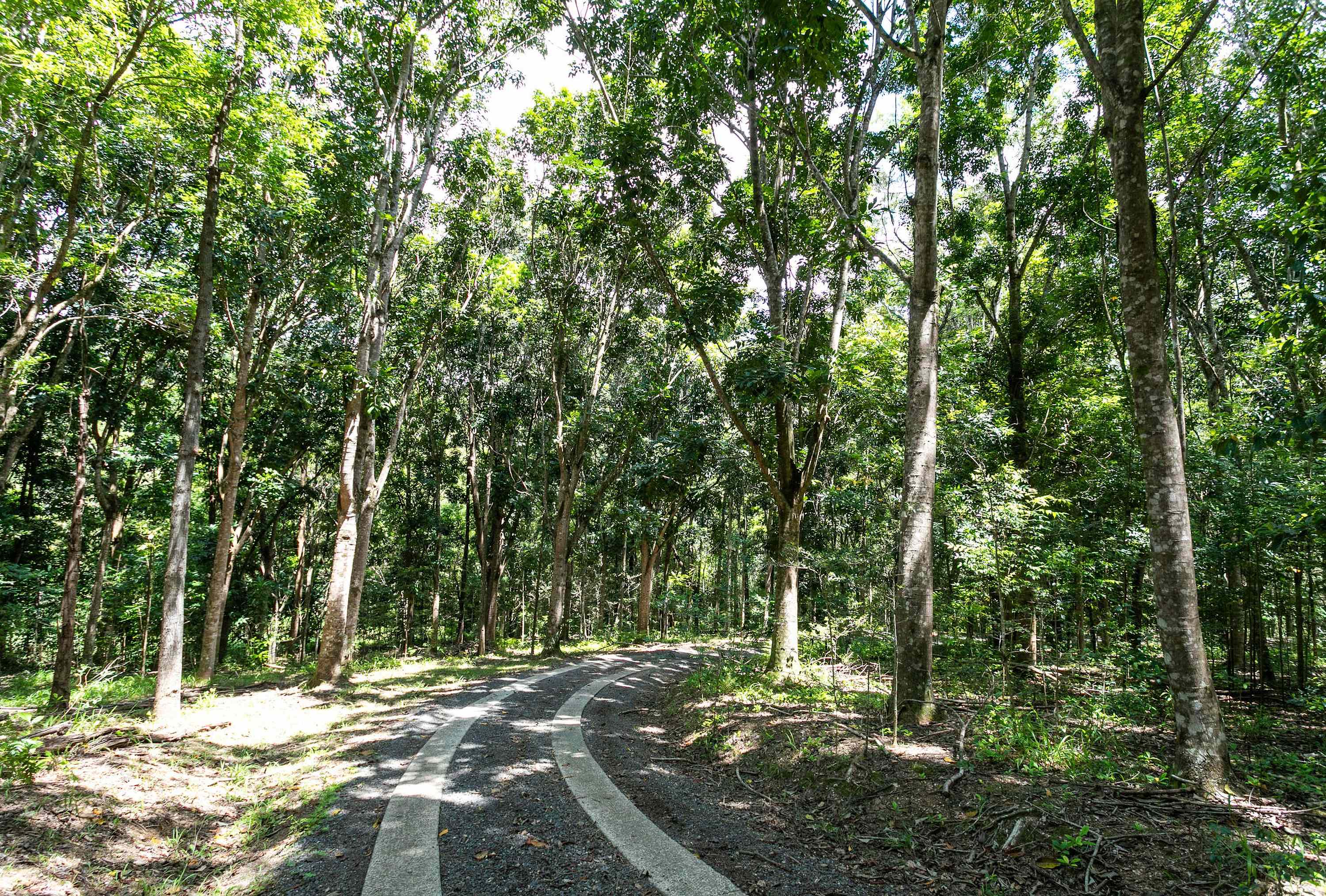 The Wicker Rainforest Retreat - Peace and Nature