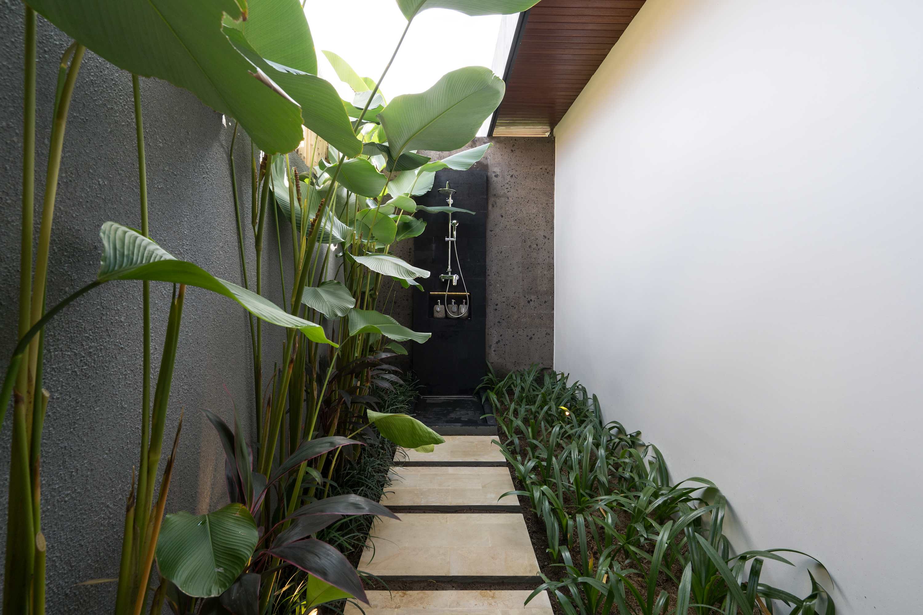 Image 29