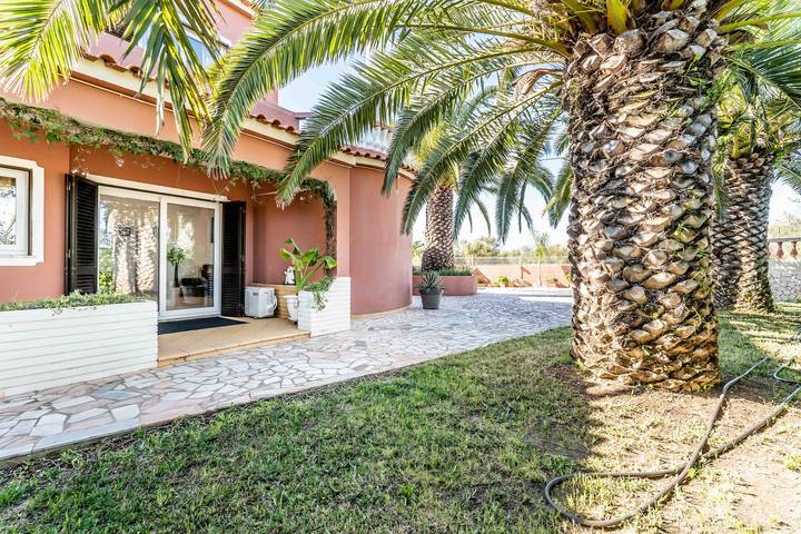 Villa Palm Grande