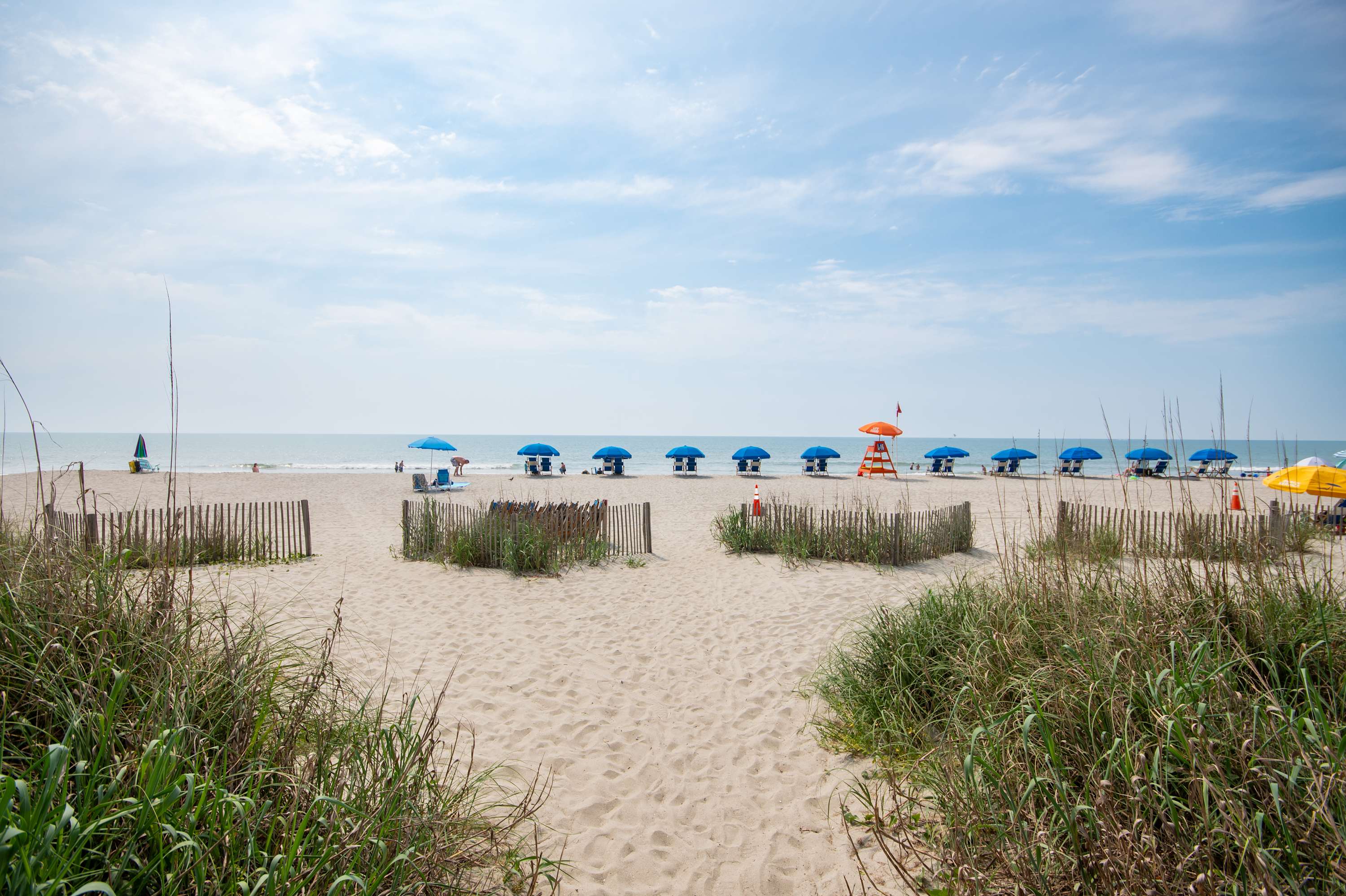 Waves Water Wi Fi We have it M21 | Photo 48