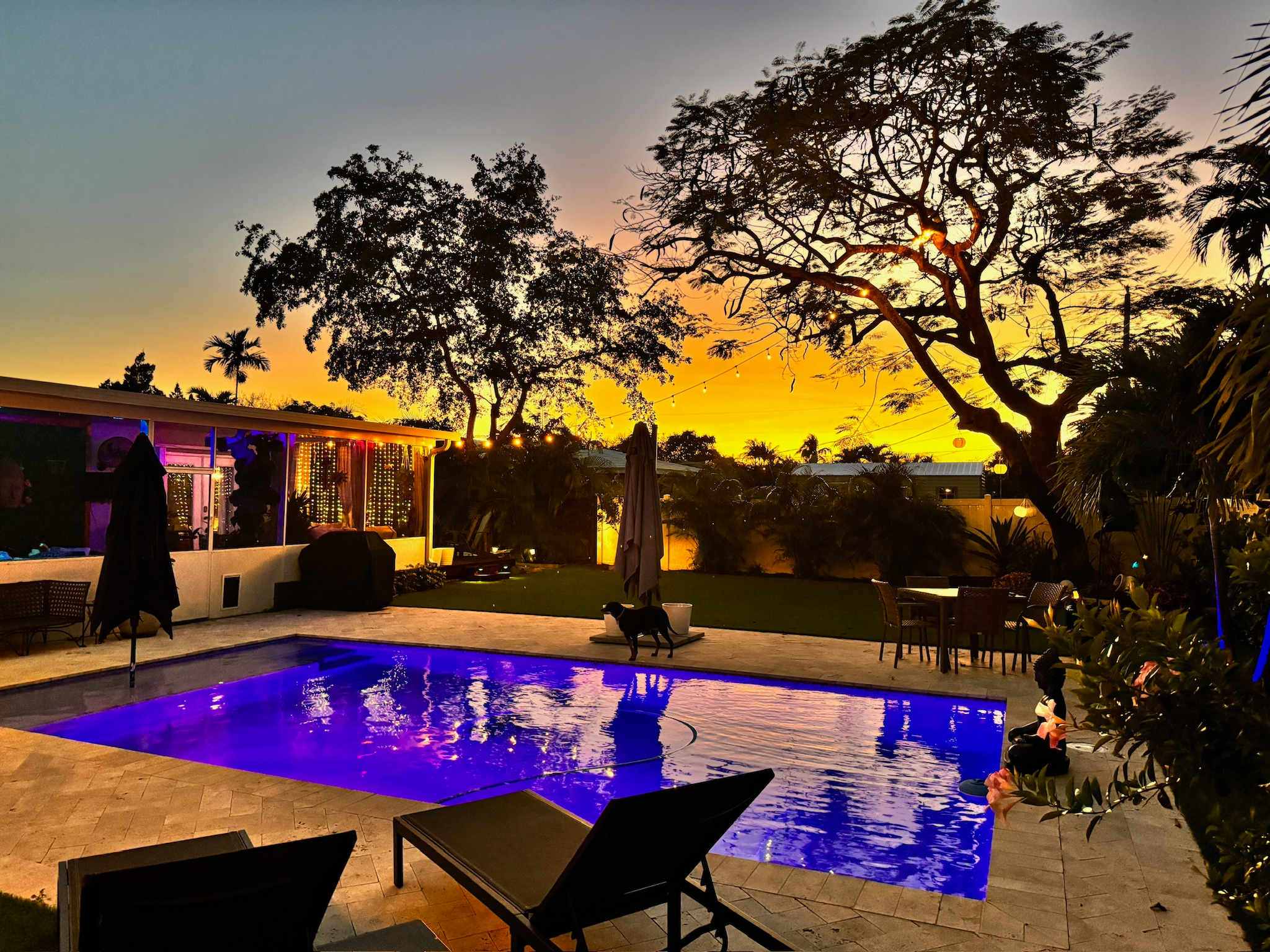 Luxurious Pool Oasis Near Wilton Manors