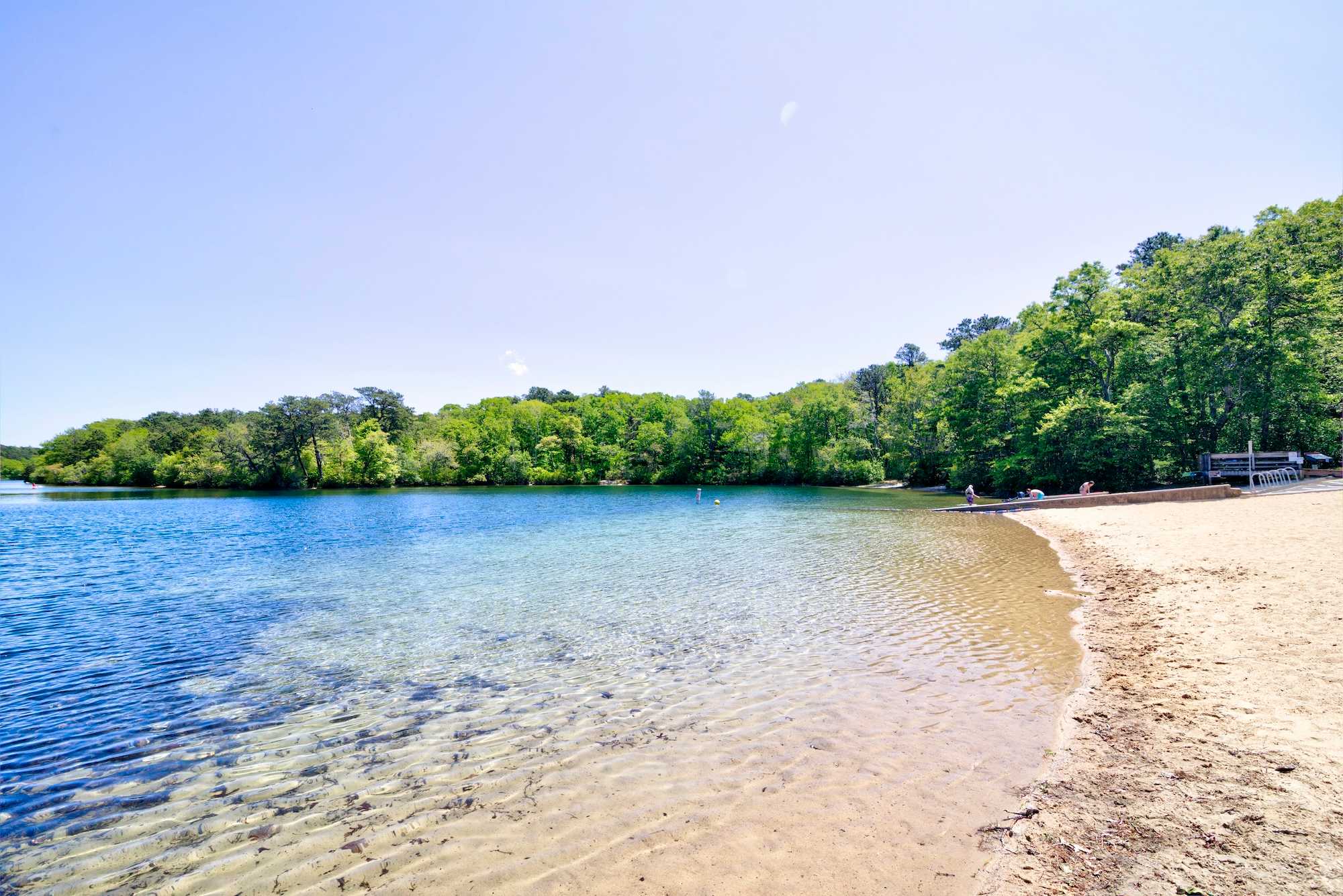 Photo of Del Mar #18811-1