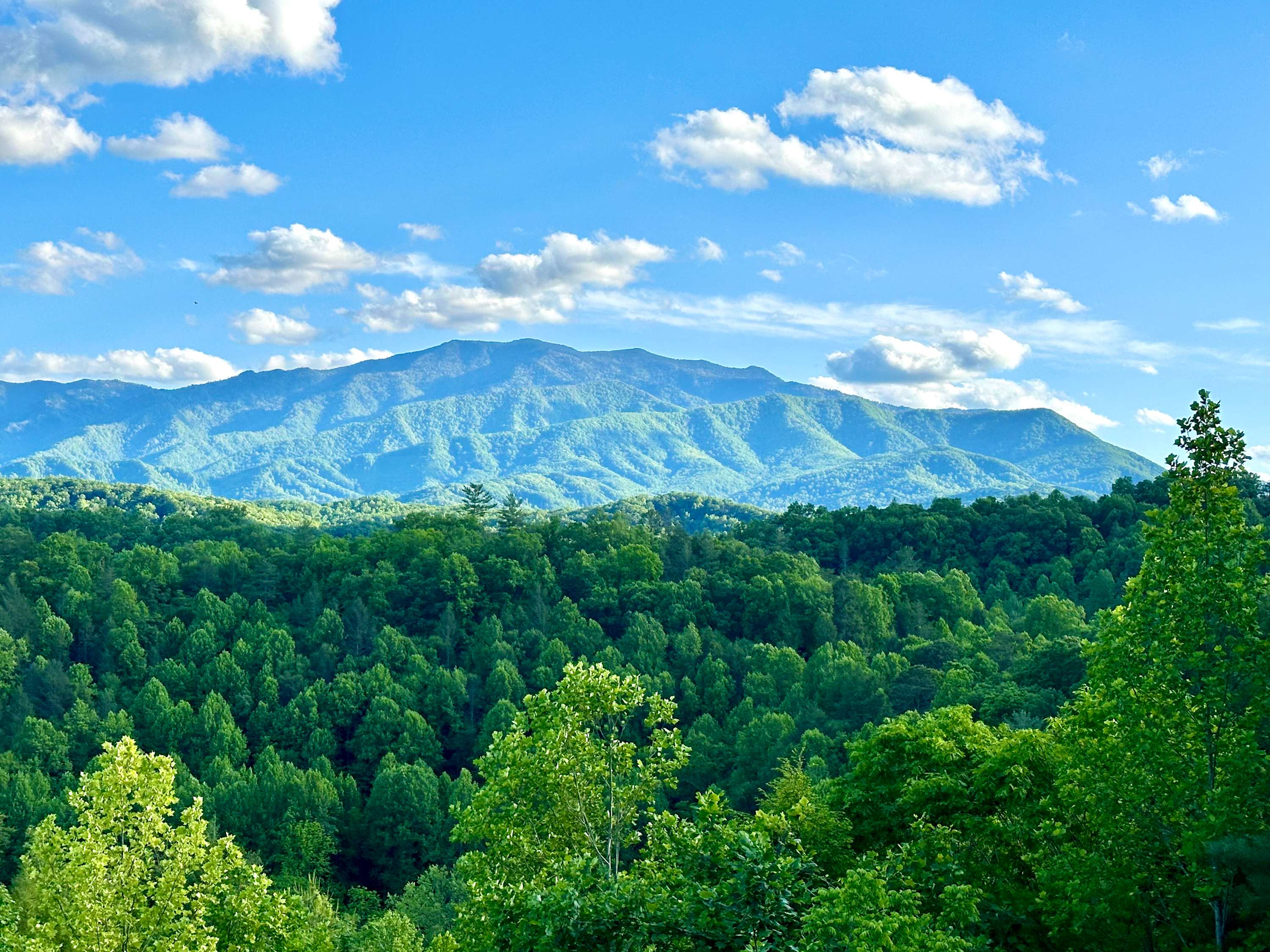 Incredible Views/Private/NearGat — Pittman Center, TN — vacation rental