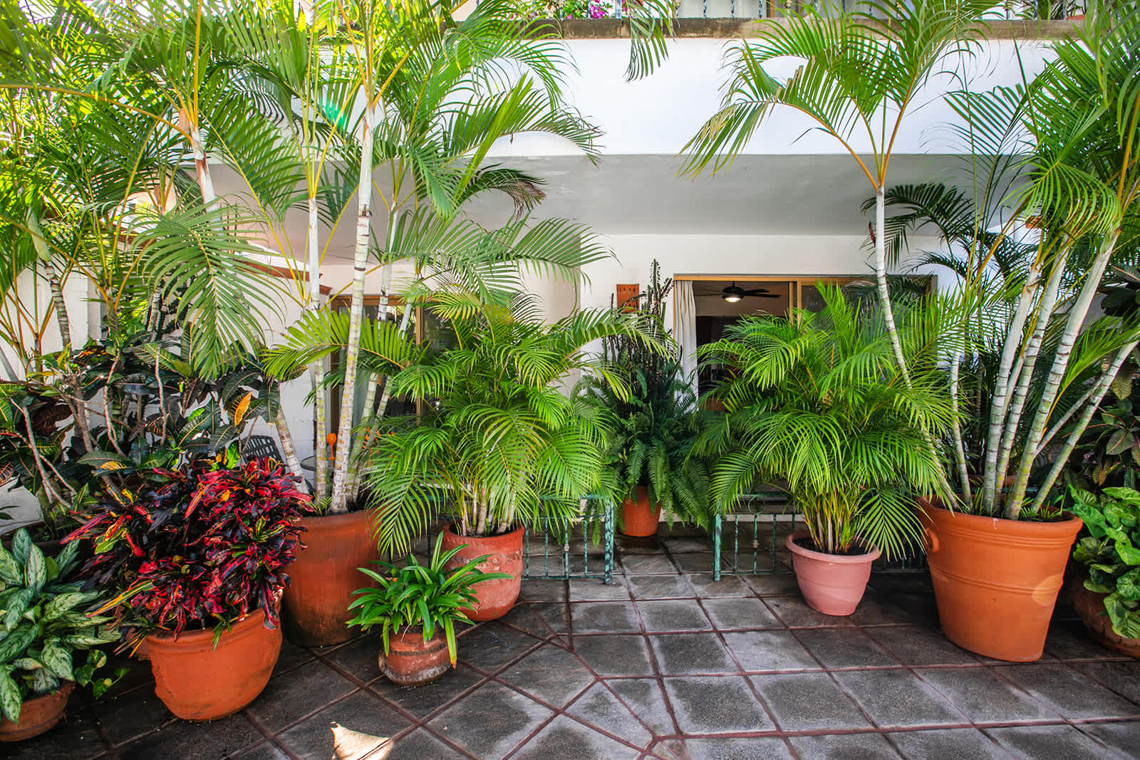 Casa Robalo
