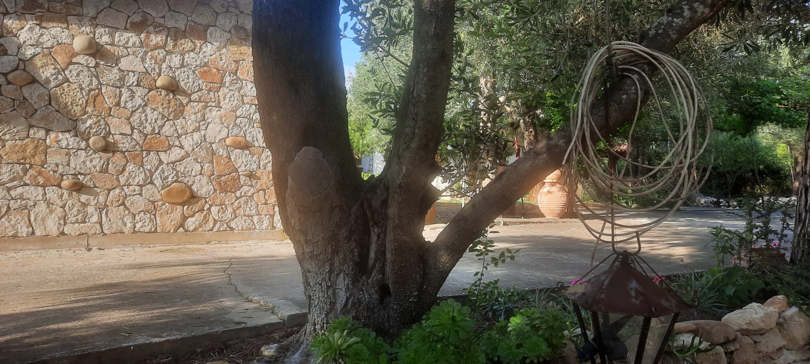 Traditional Stone House in Kerkira Argyrades in Corfu — photo 5