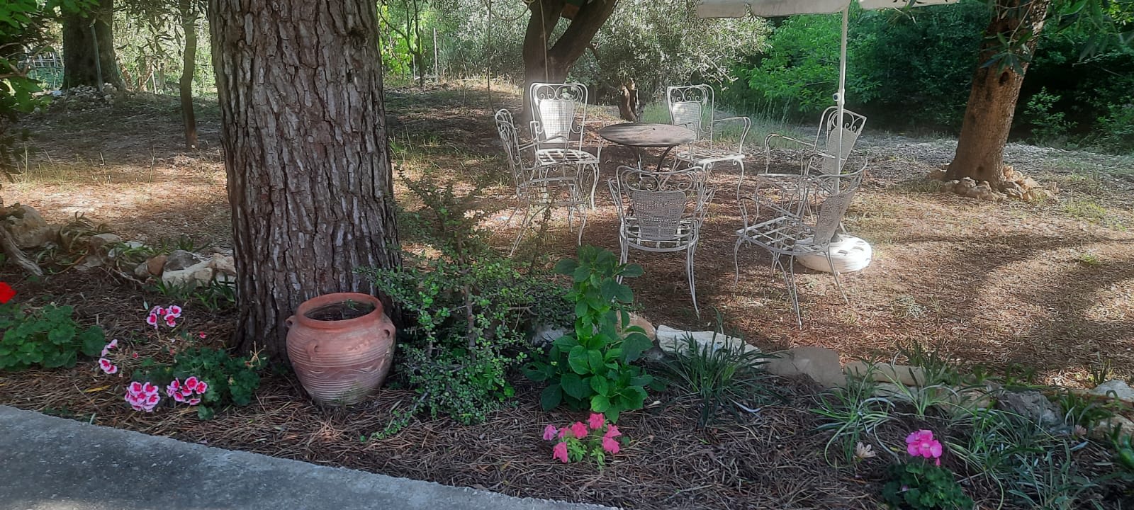 Traditional Stone House in Kerkira Argyrades in Corfu — photo 2