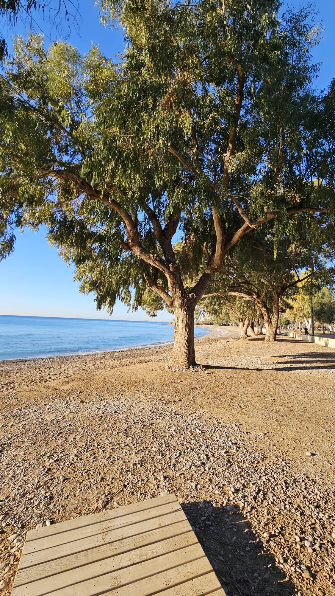 Calle del Agua 1, 03570 Villajoyosa, Spain