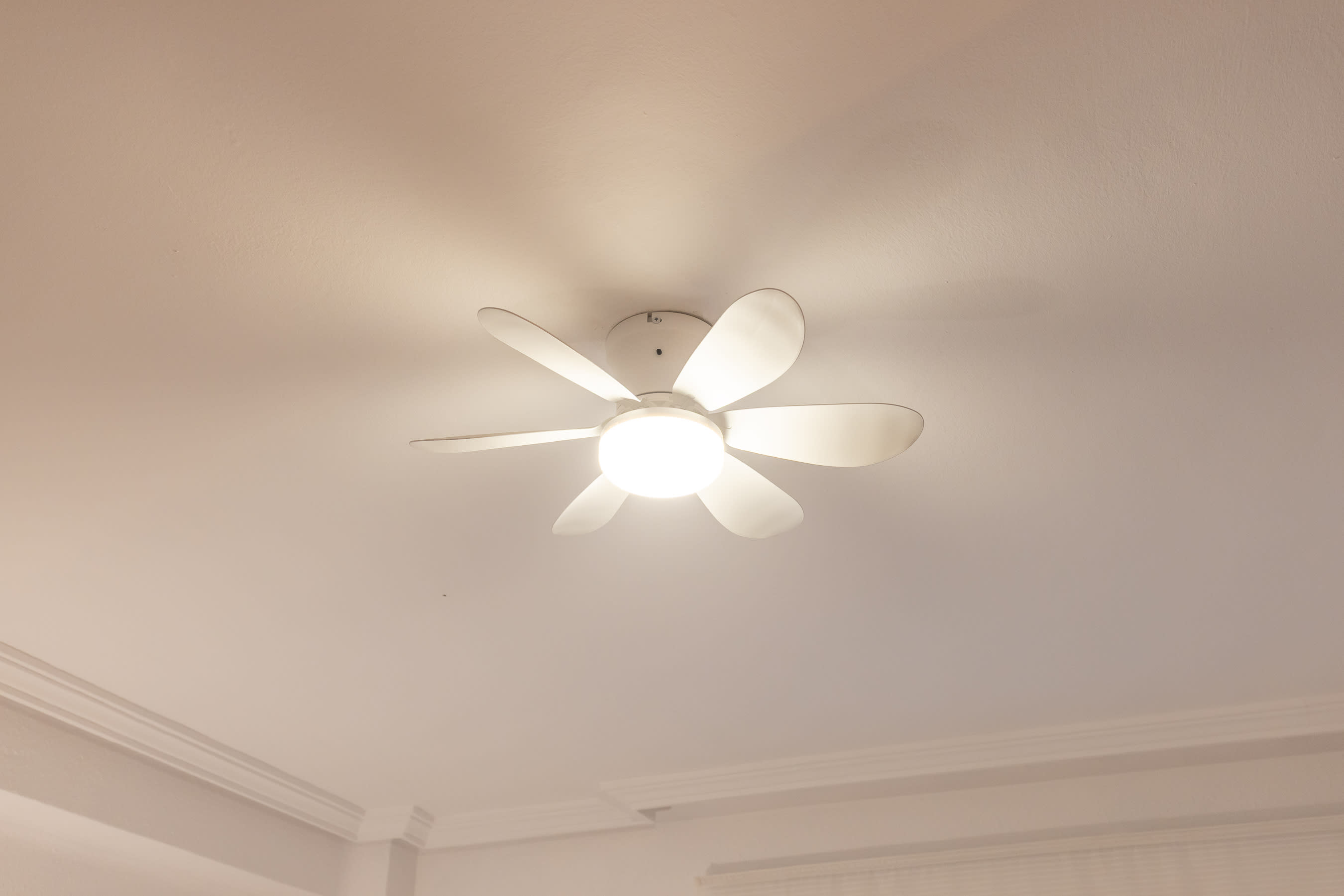 Property thumbnail 66