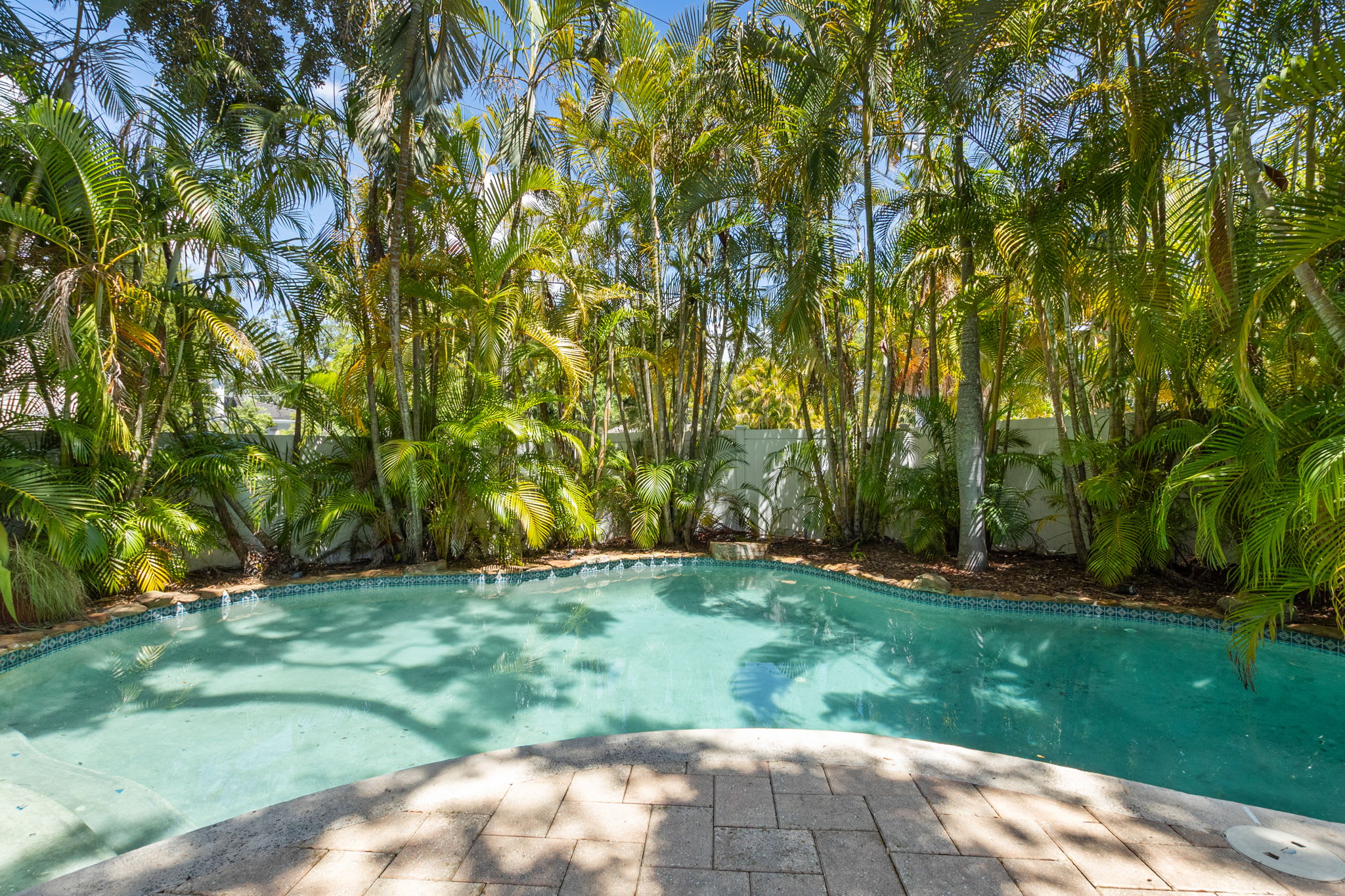 NEW! Sunset Serenity | South Tampa Home with Pool — Tampa, FL — vacation rental