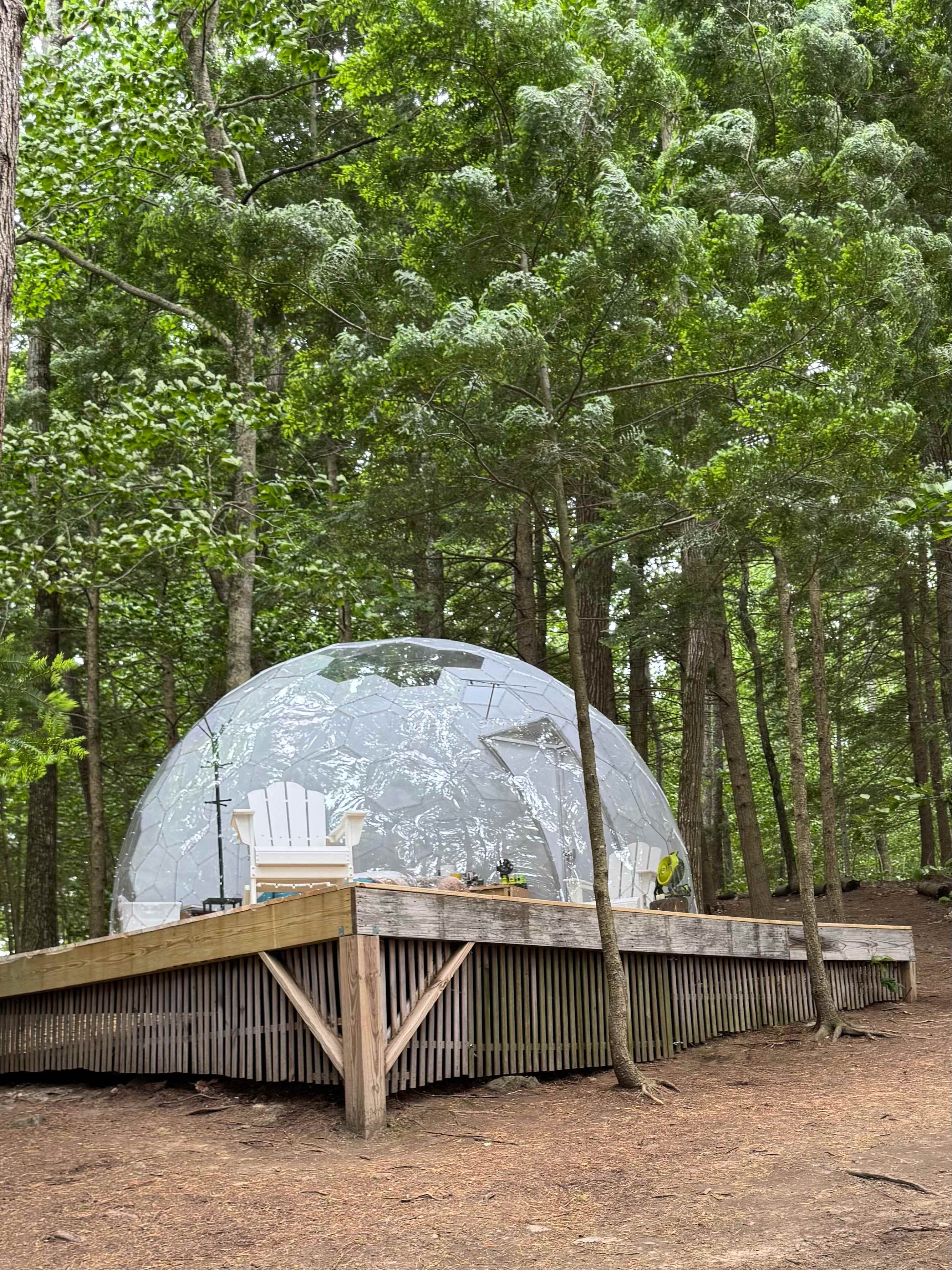 The dome among the hemlocks.