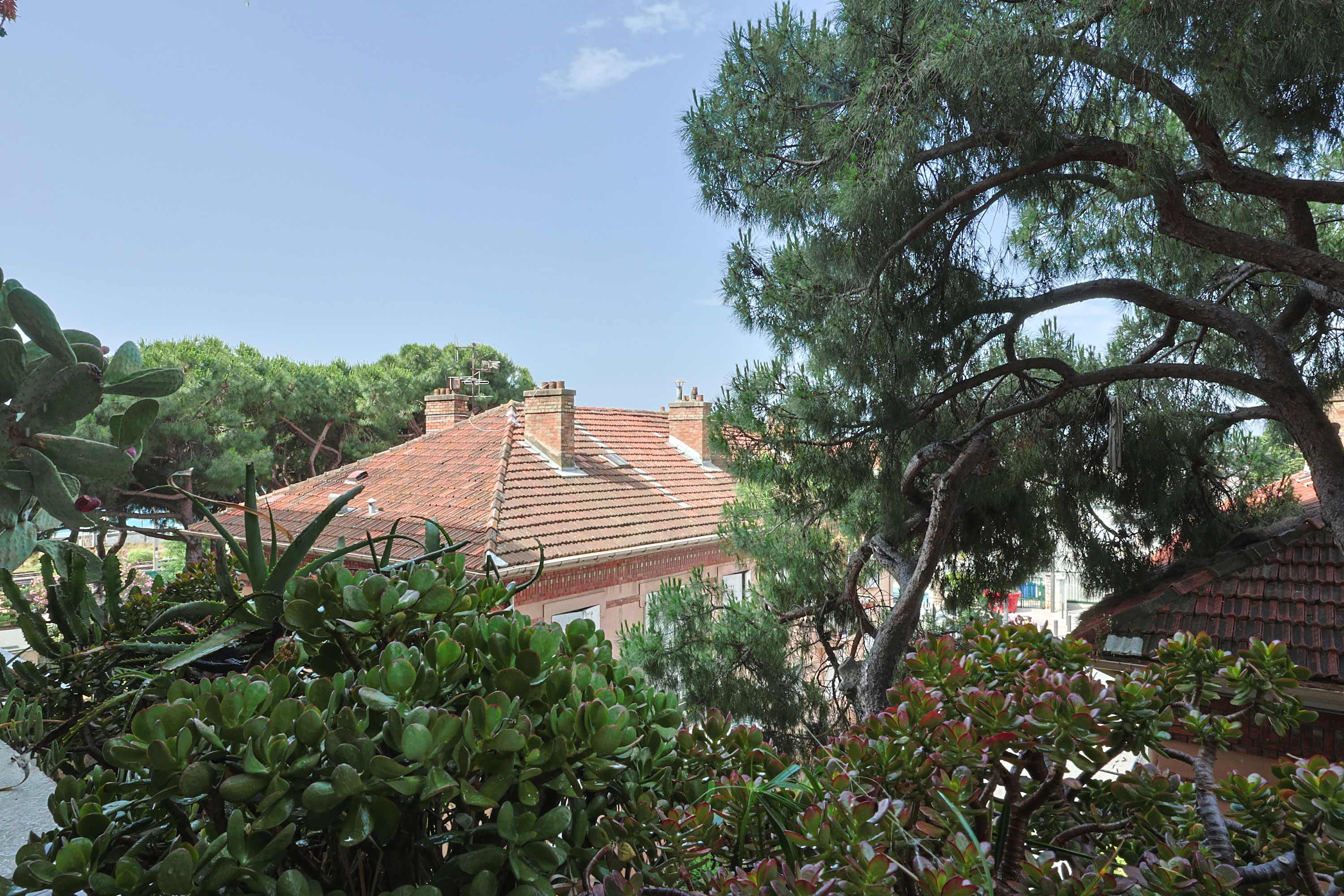 View 8