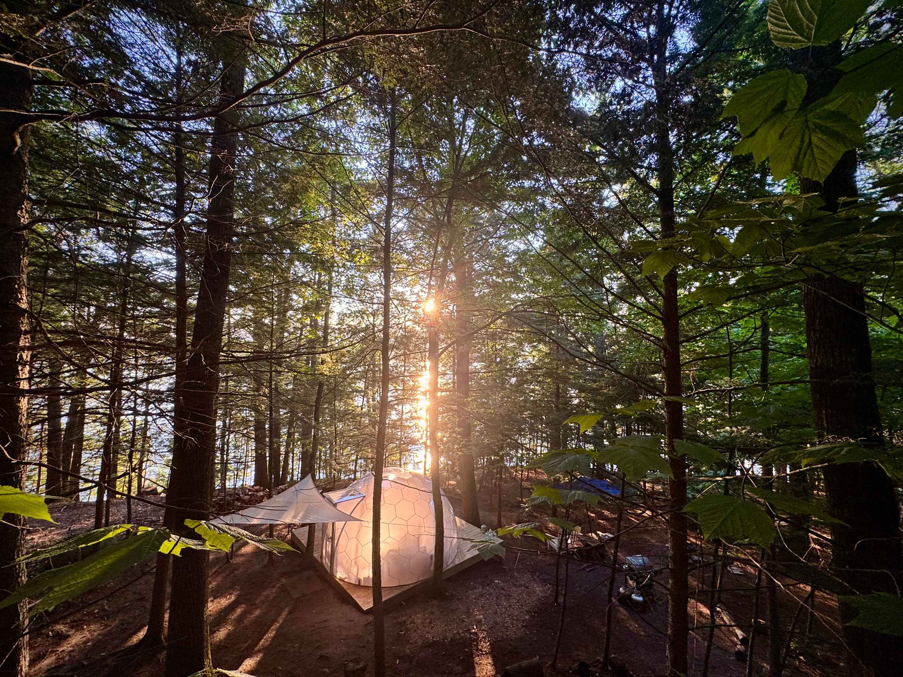Be surrounded by Nature in the Hammock Haven Dome.