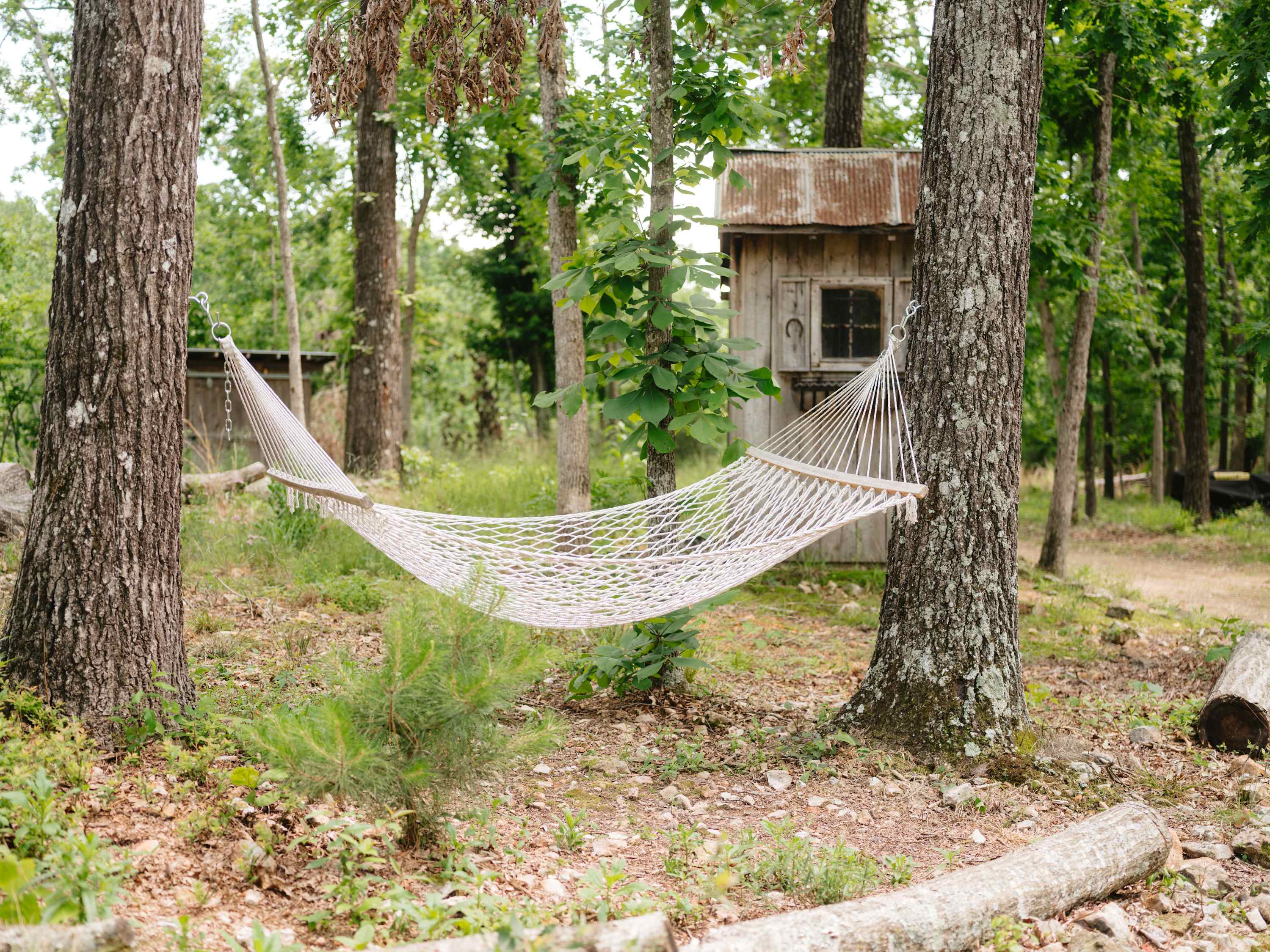 Big Pine Holler | Cozy Cabin with Hot Tub - Foto 32
