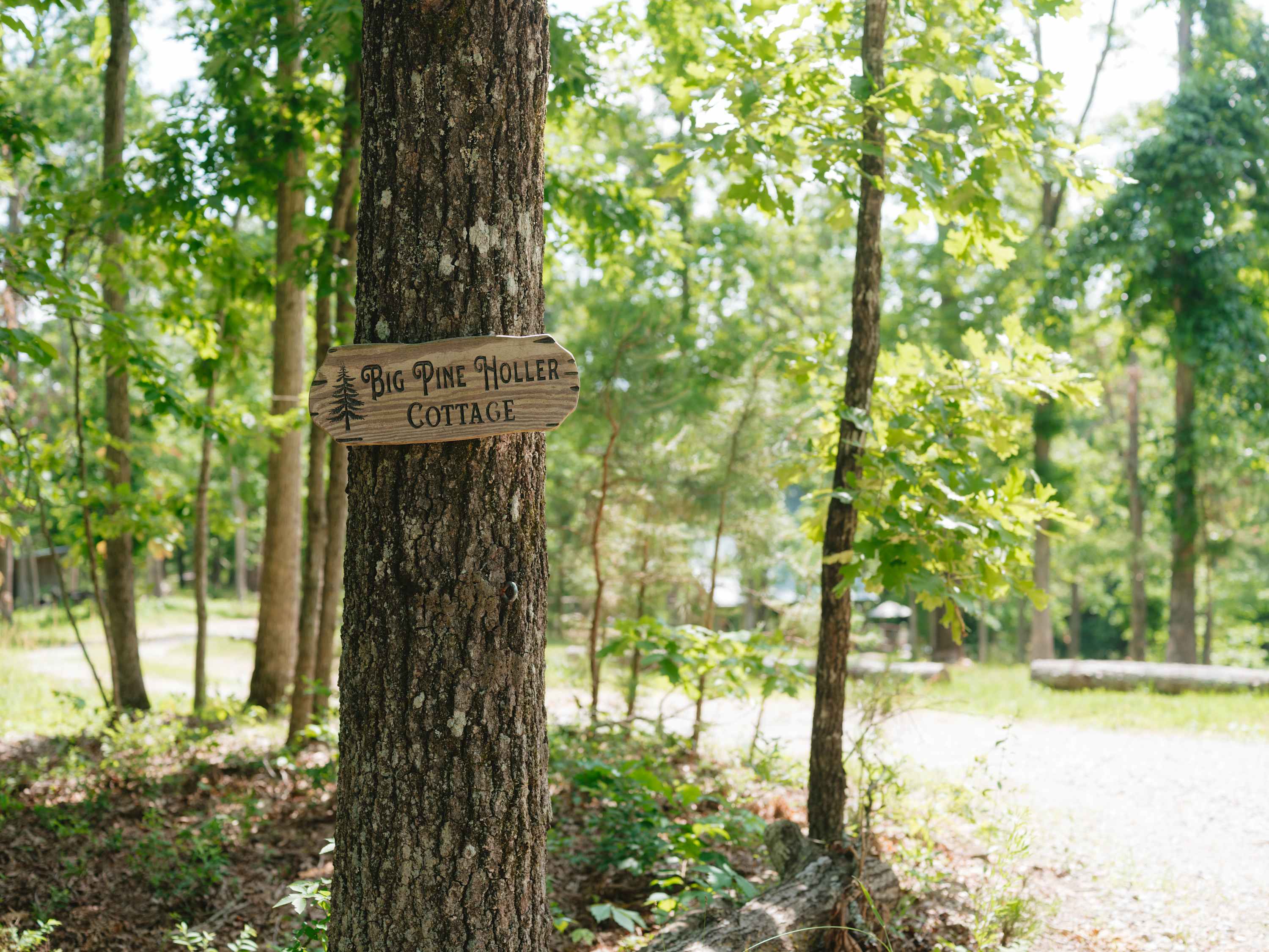 Big Pine Holler | Cozy Cabin with Hot Tub - Foto 34