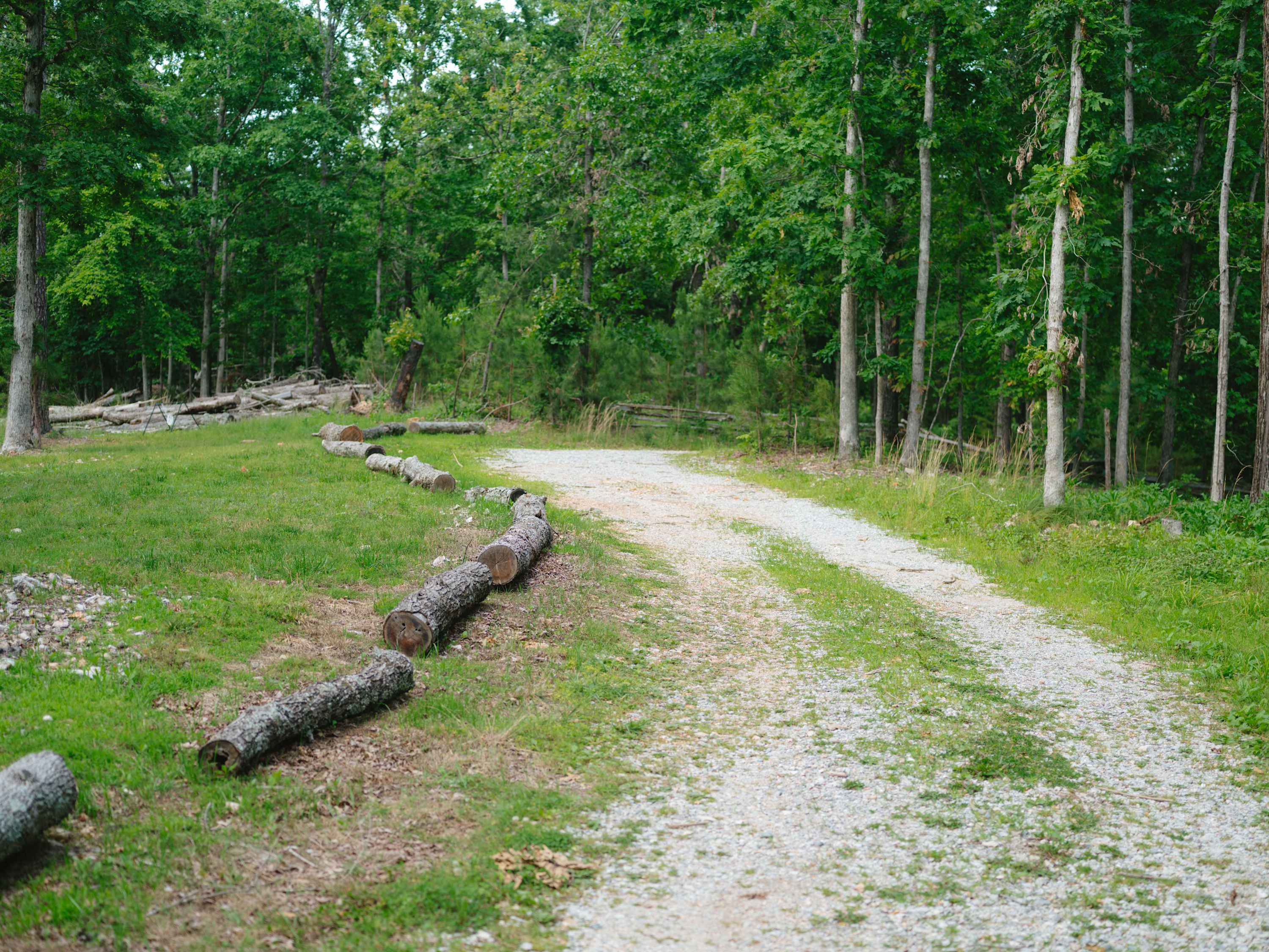 Big Pine Holler | Cozy Cabin with Hot Tub - Foto 44