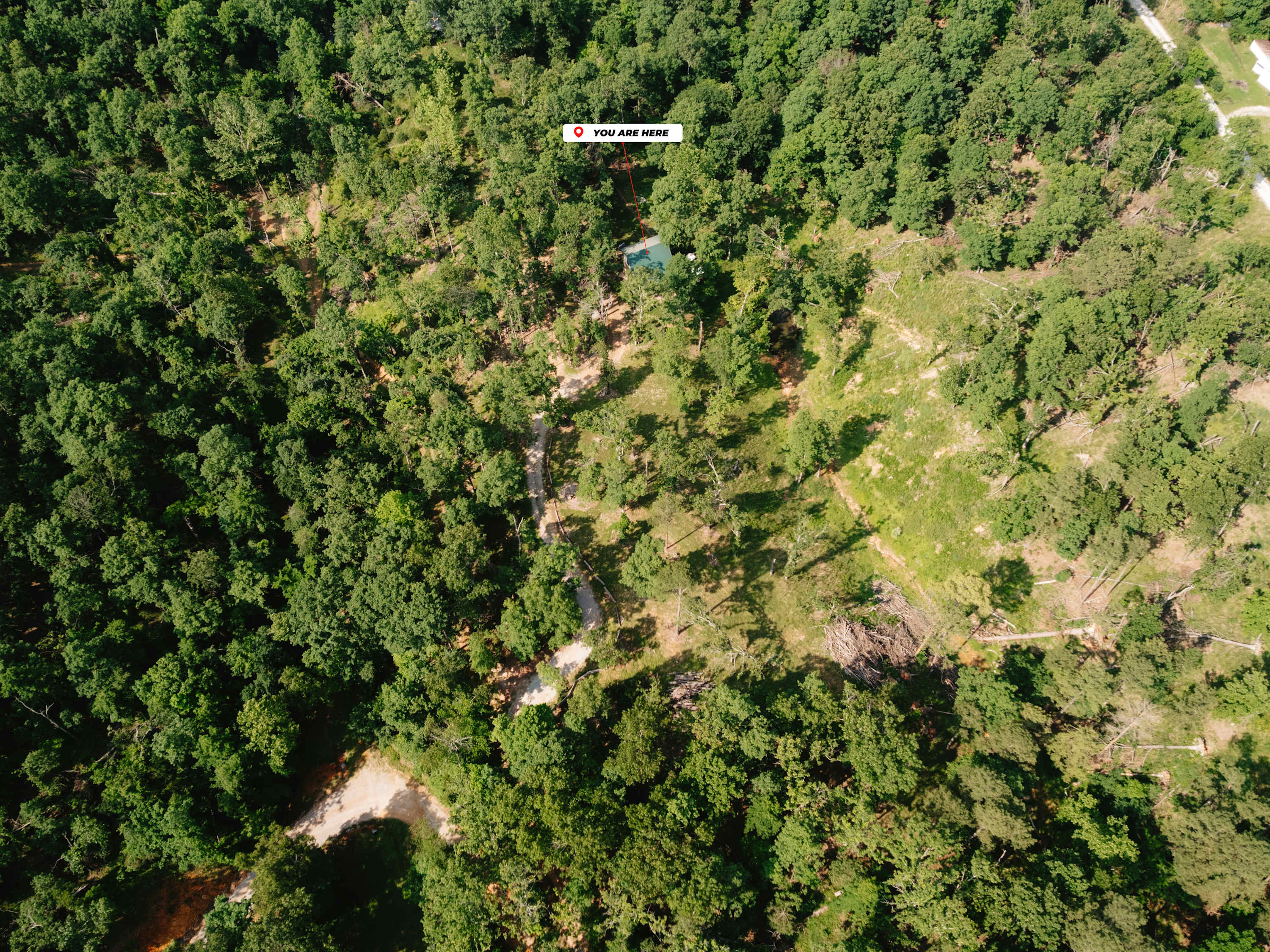 Big Pine Holler | Cozy Cabin with Hot Tub - Foto 36