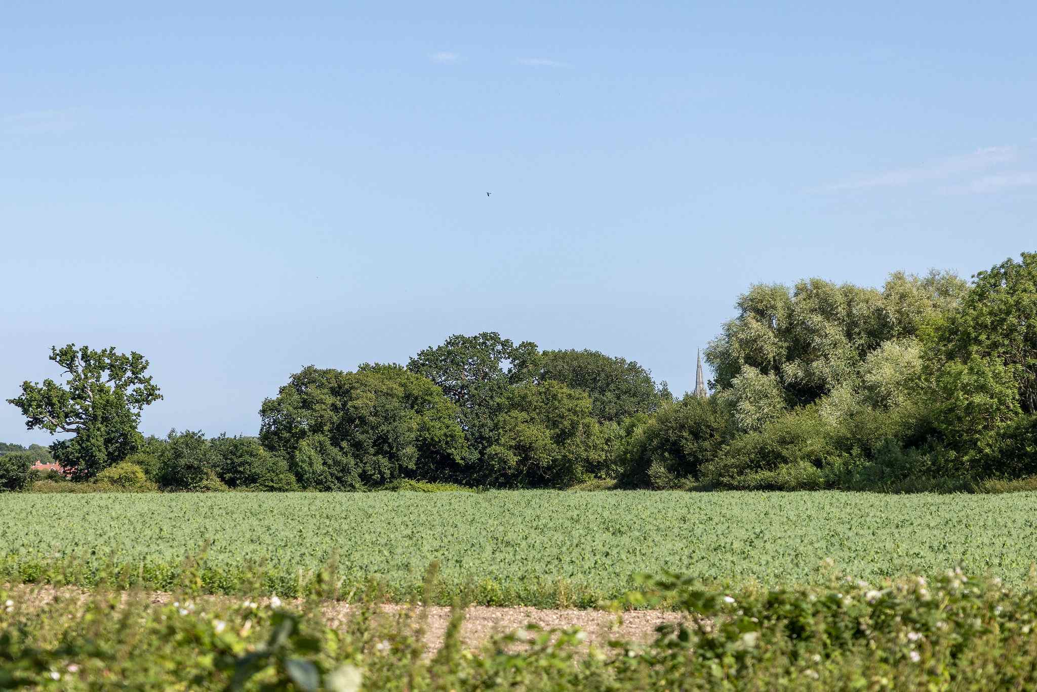 Countryside views surround the home, with Chichester’s magnificent cathedral in the distance.