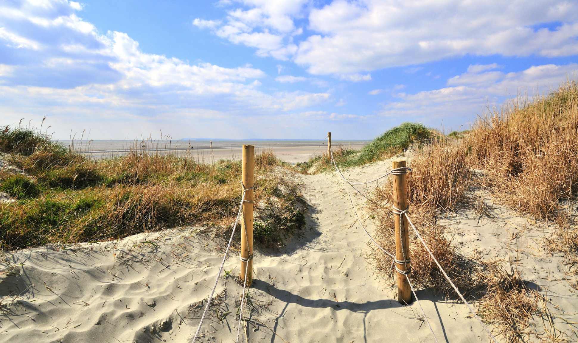 The sand dunes at East Head, West Wittering, are a National Trust treasure and worth a visit, just 15 minutes from the cottage.