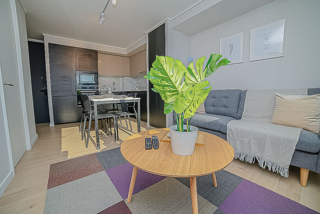 Charming studio with a cozy living area and modern kitchen, perfect for a relaxing stay in the heart of Chile.