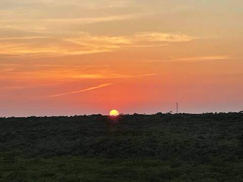 Private rooftop with stunning sunset and mangrove views