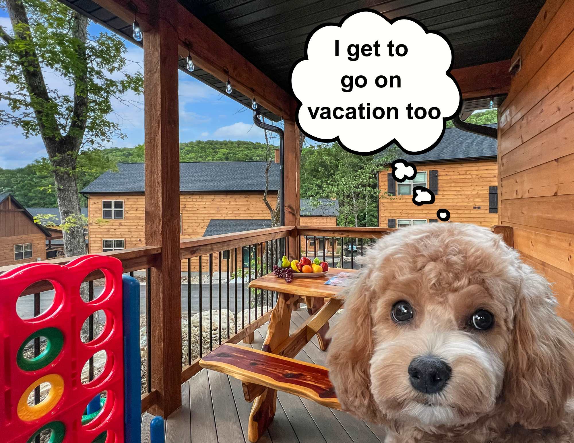 We love hosting furry friends! 🐾 Please help us keep Wooded Wonder pet-friendly by cleaning up after your pet, keeping them off furniture unless covered, and not leaving them alone in the cabin (unless in a crate). Thanks for being a pawesome guest!