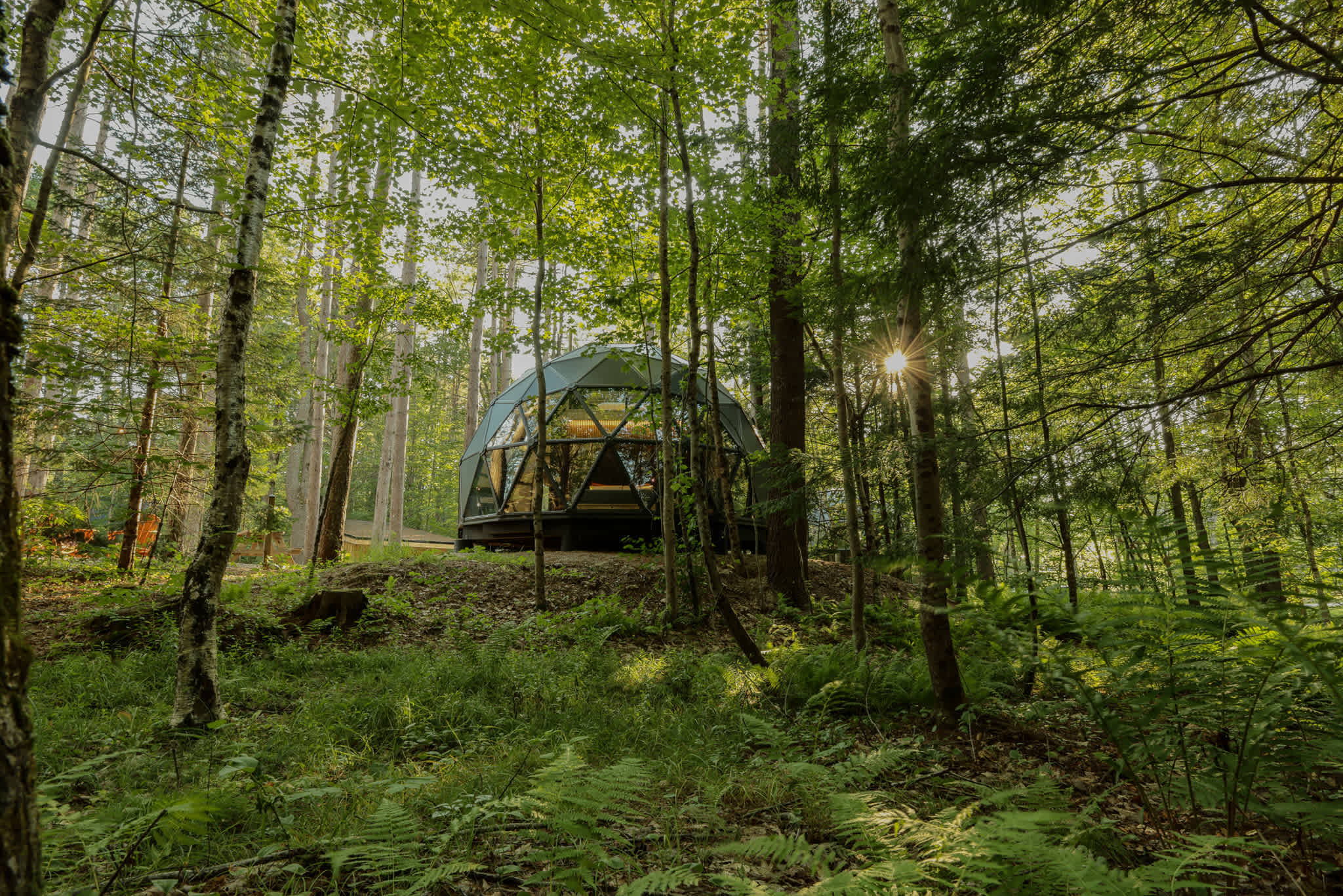 Large, luxurious geodesic dome - 04 — Freeport, ME — vacation rental