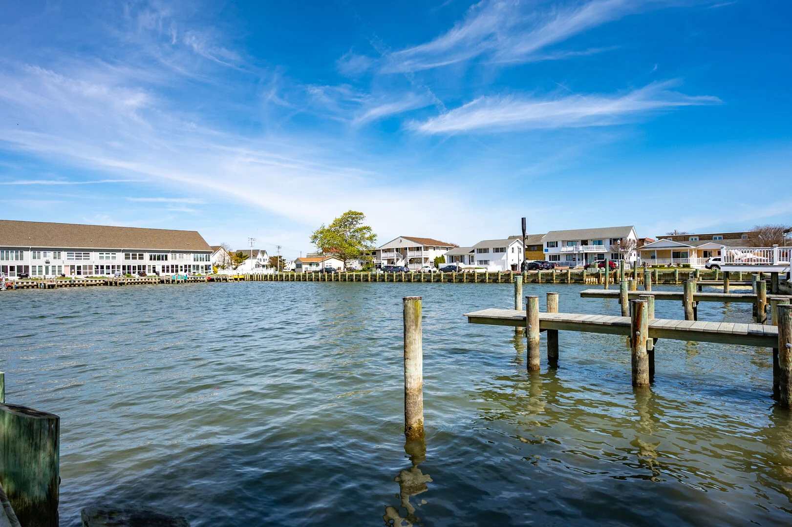 Clammers Cove 4  