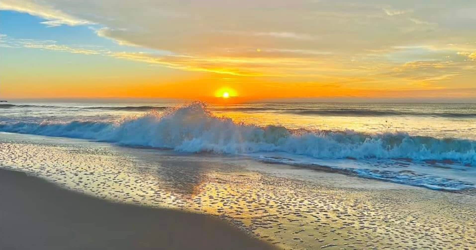 Blue Pearl Oceanfront Modern at Sea Cabin w Pool