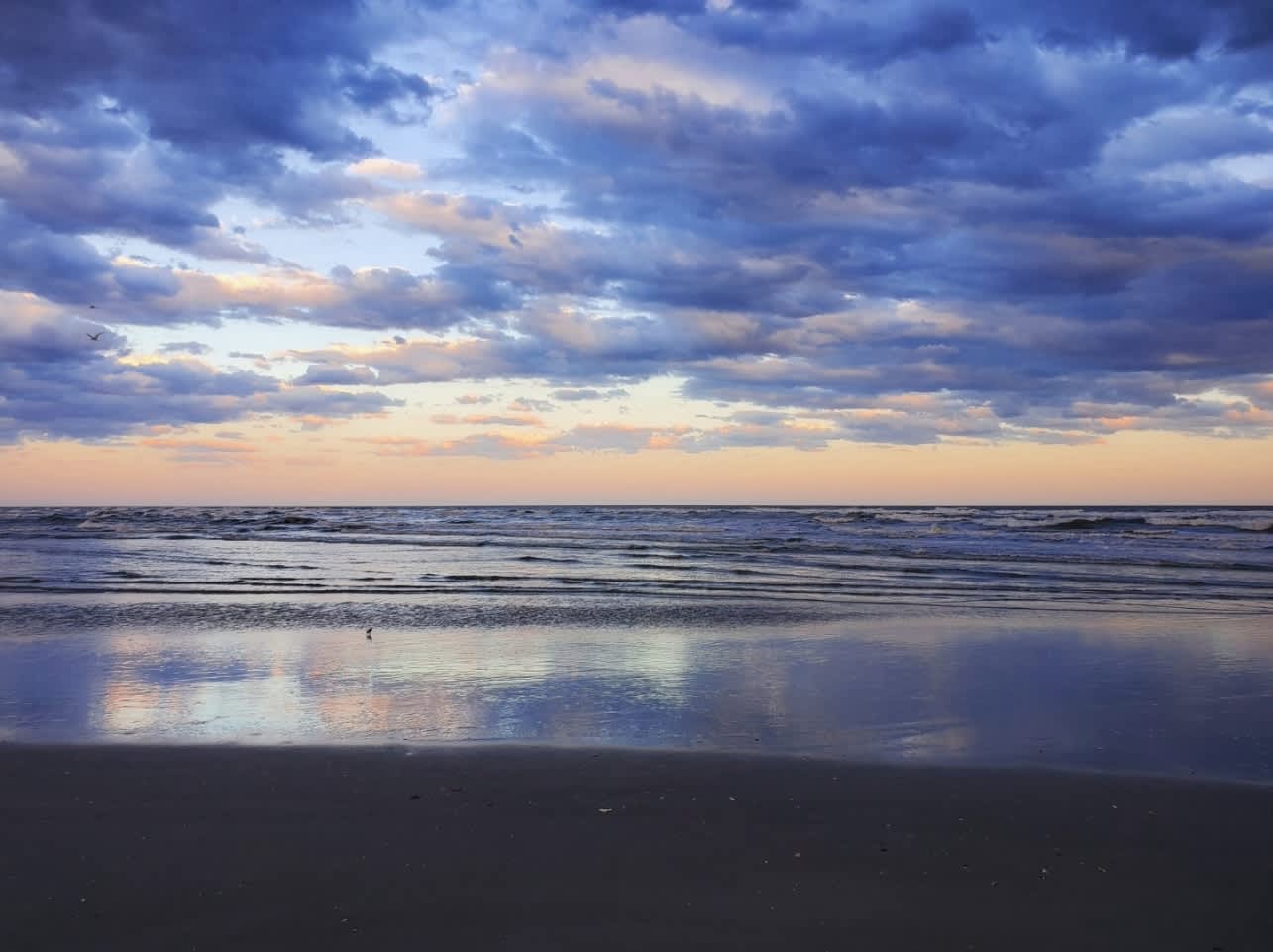 Blue Pearl Oceanfront Modern at Sea Cabin w Pool