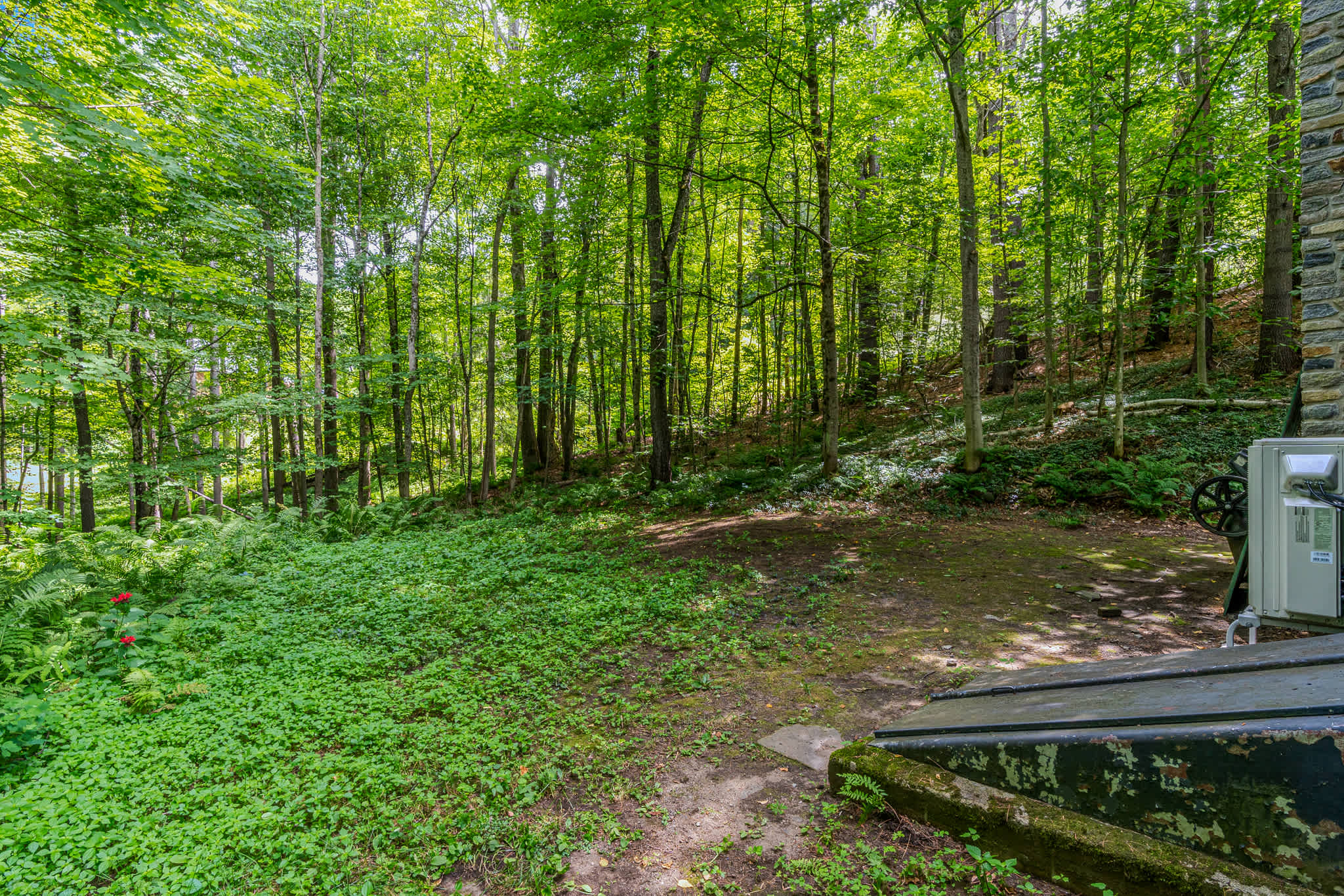 Mt Peg Hiking, Enclosed Porch  | Trailside Cottage