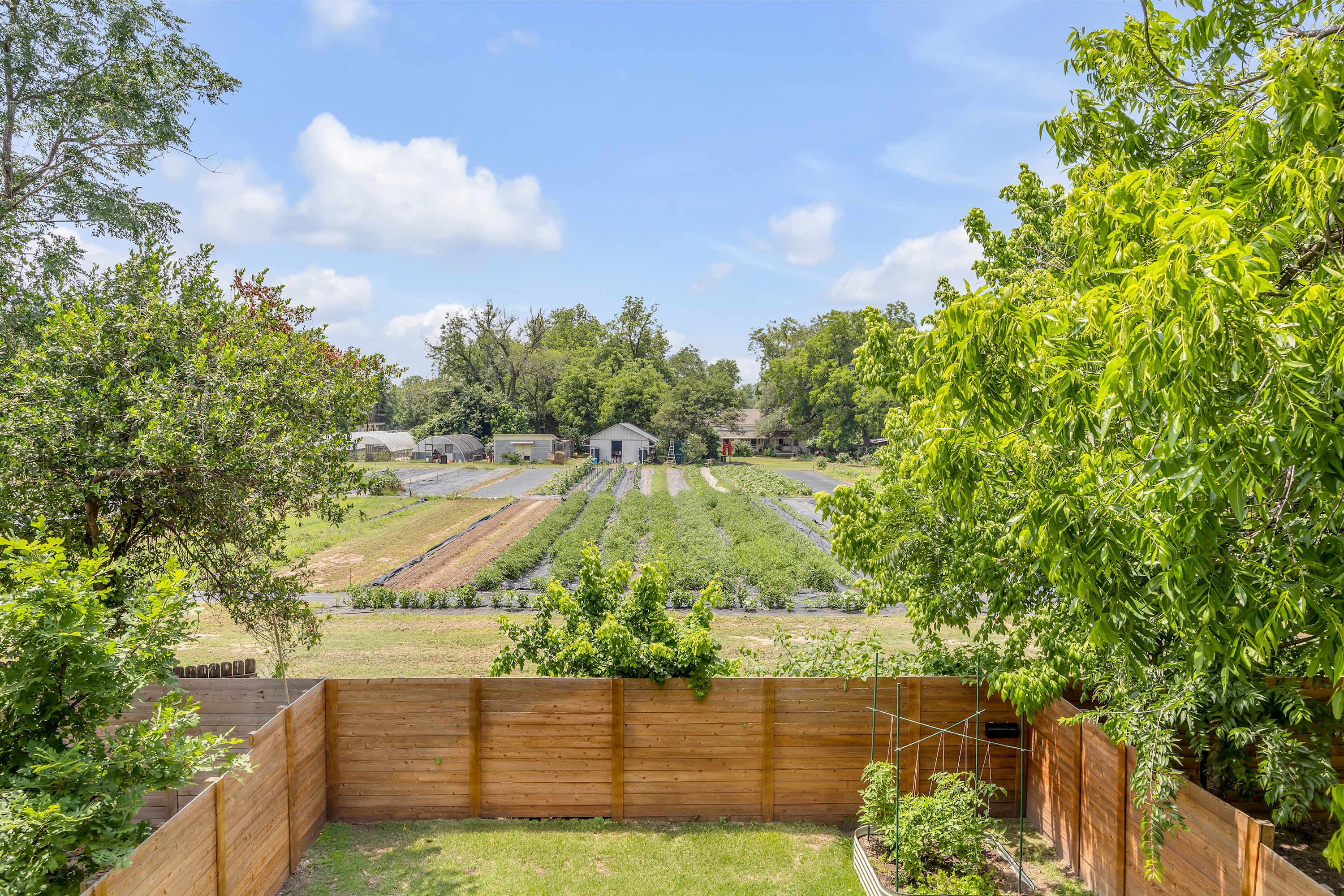 Bright Modern, Boggy Creek | Eastside Urban Dream