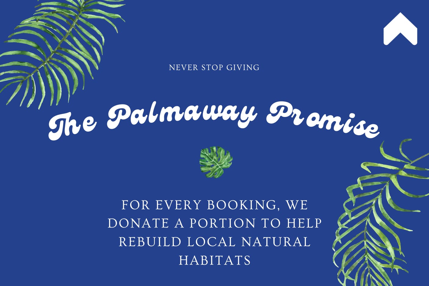 Beautiful 2B/2B Beach Views & Best Eats | Palmaway