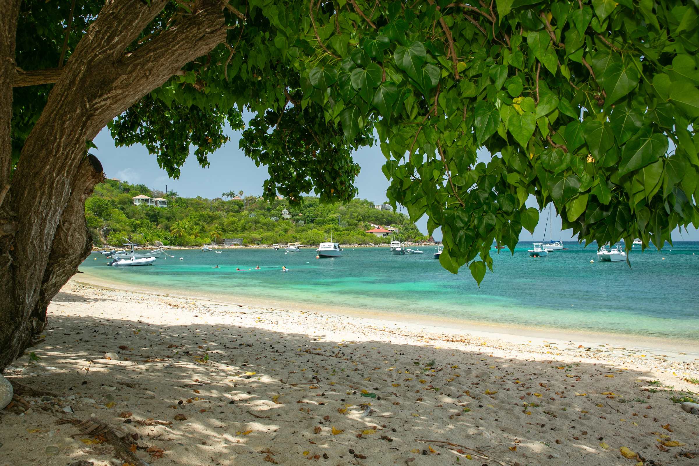 Nautilus- Beach Front with 3 King Suites — Cruz Bay, St. John — vacation rental