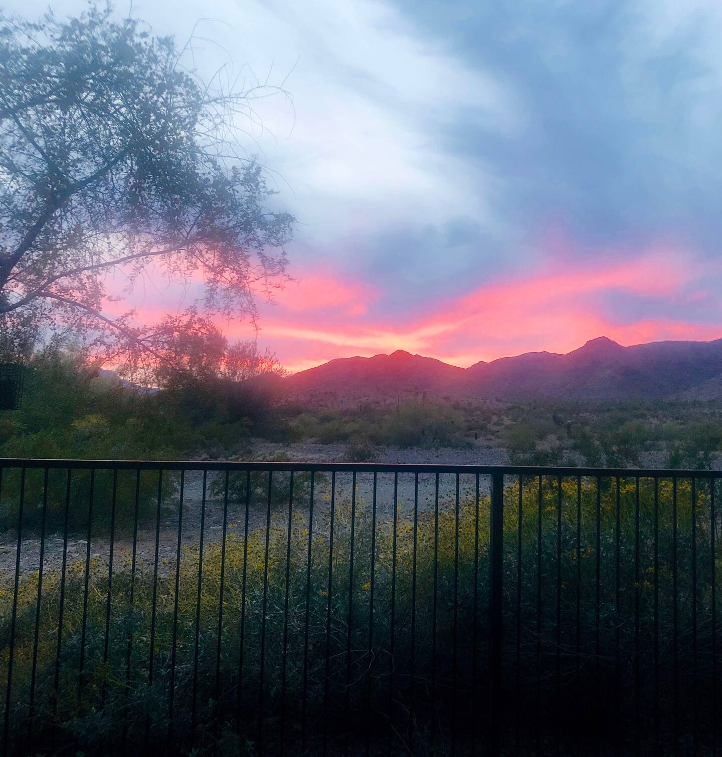 View 6