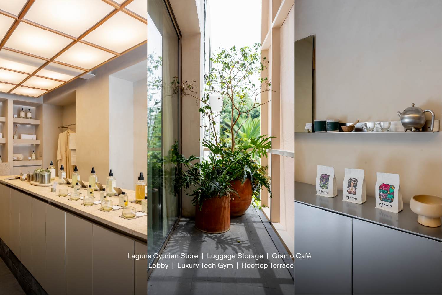 The Garden Suite Lamartine | Gym & Minimalist Vibe