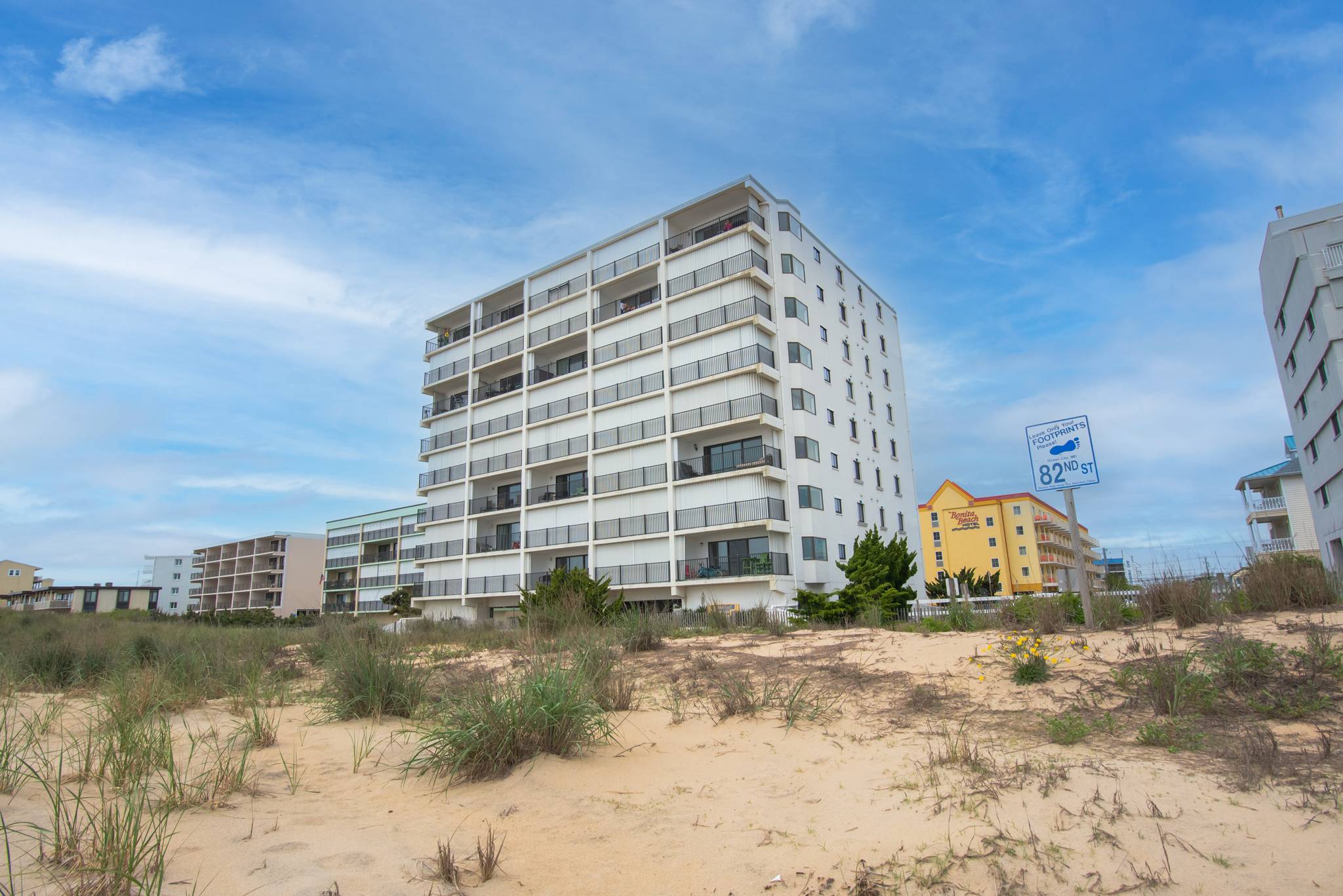Golden Surf 203